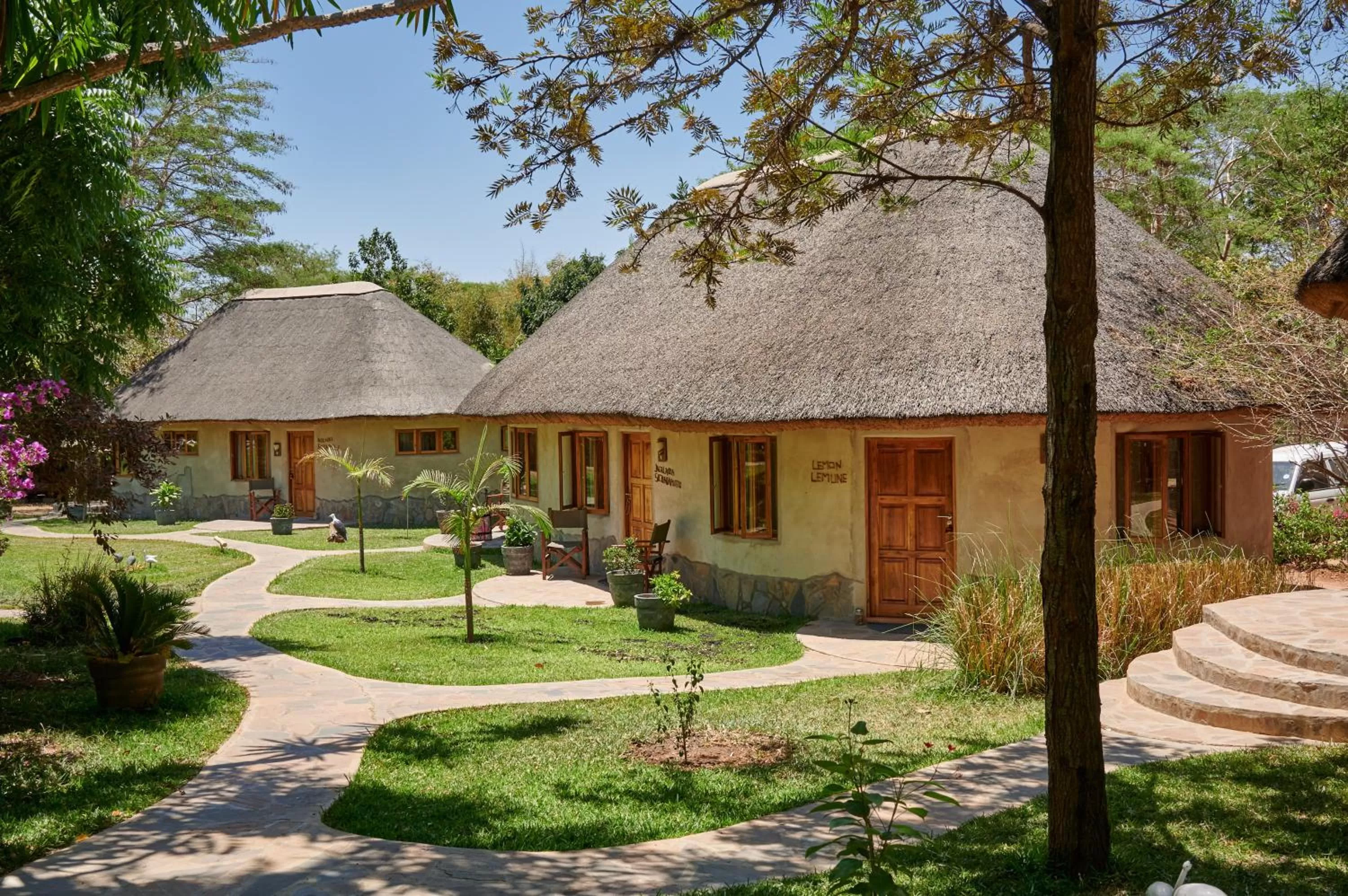 Property Building in Wild Dogs Lodge