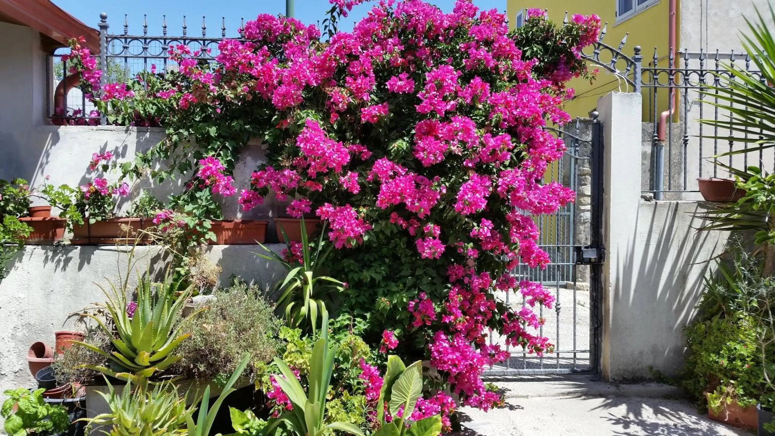 B&B Mitzixeddas B&B Mitzixeddas