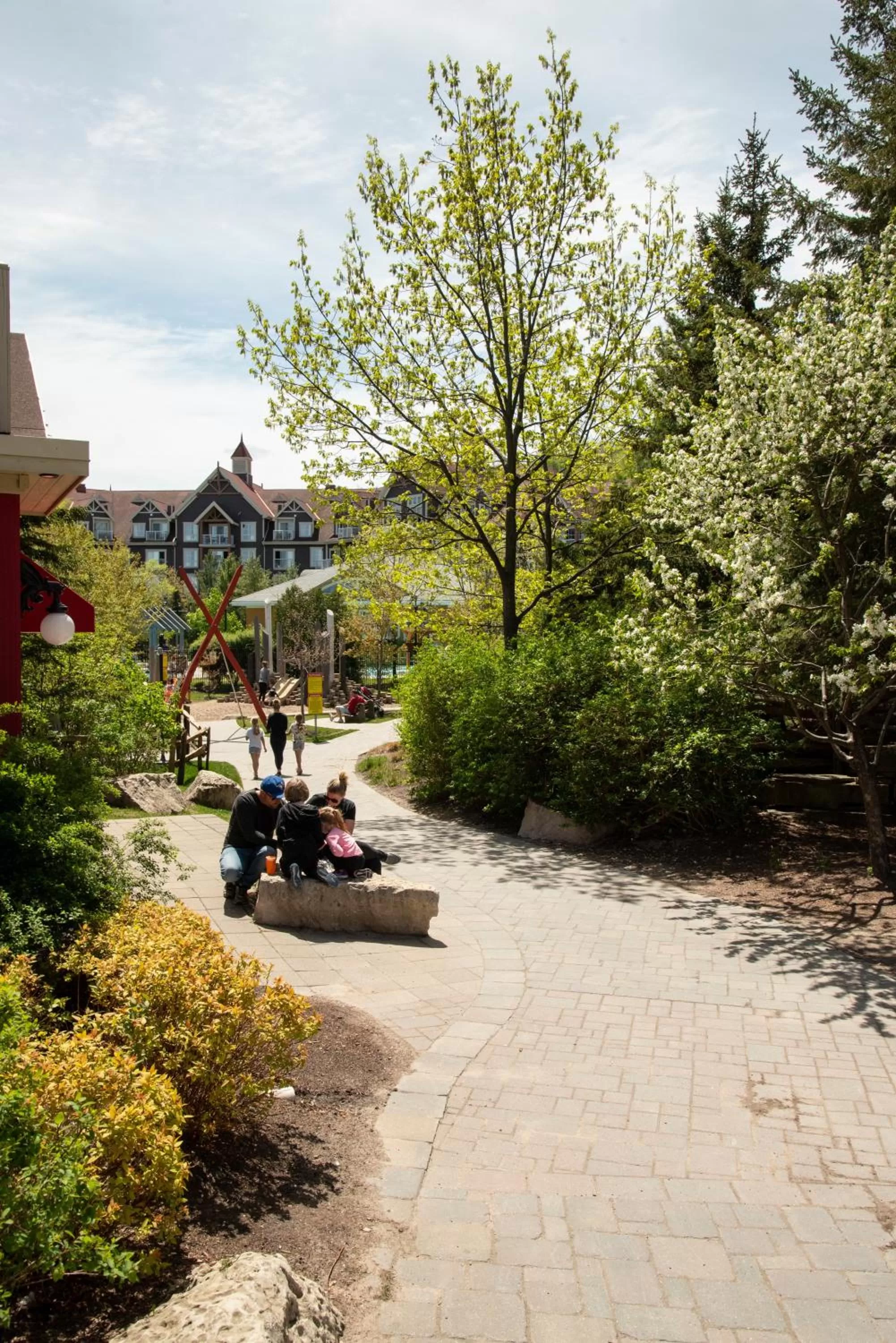 Natural landscape in Blue Mountain Resort Home Collection