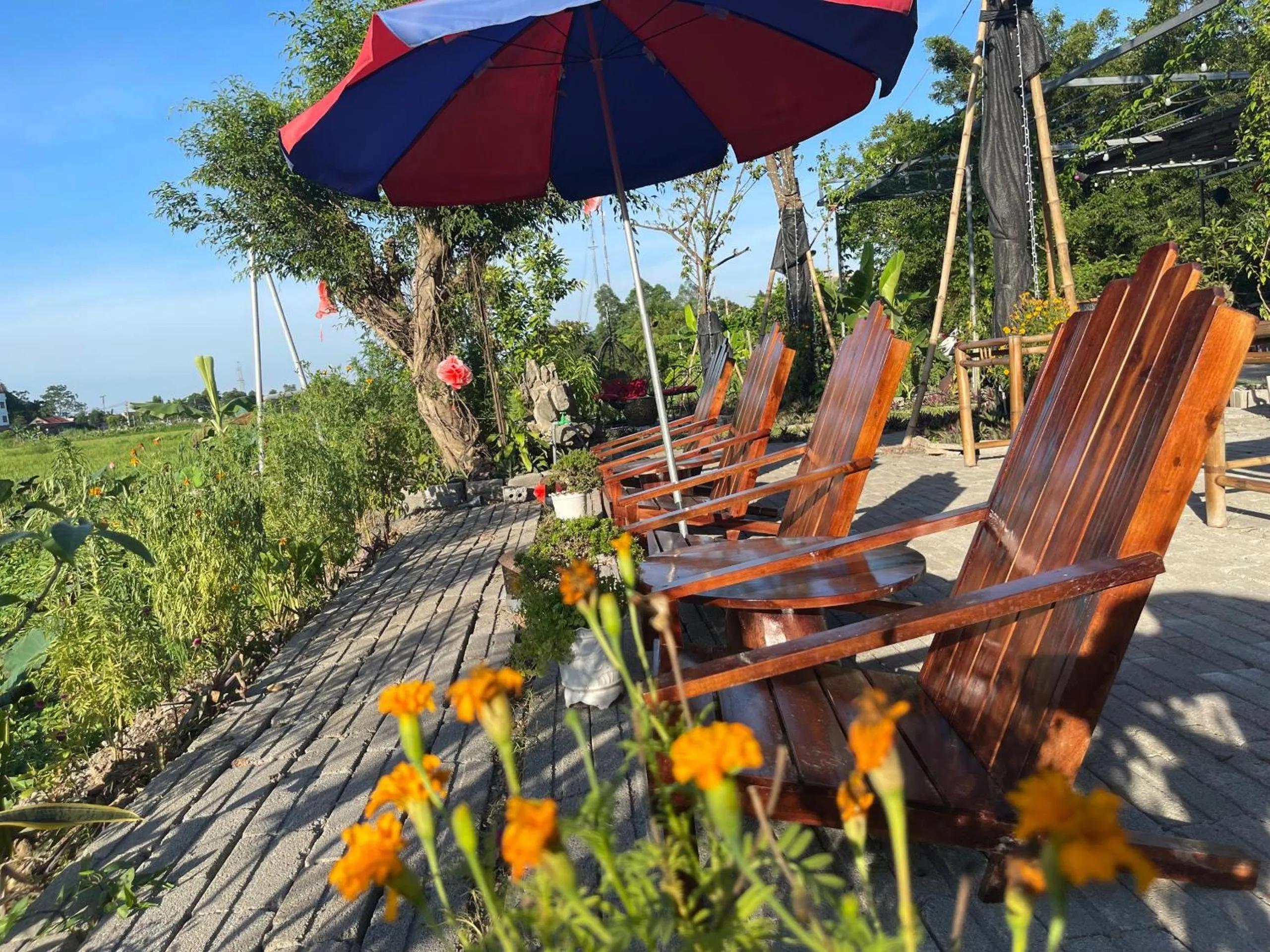 Tam Coc Mountain View Homestay