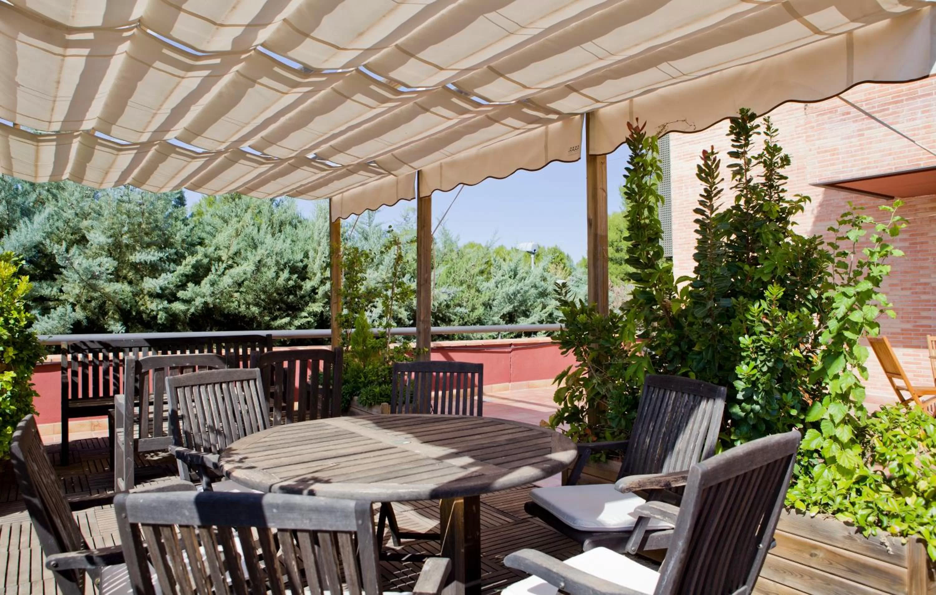 Garden in Intur Alcazar de San Juan