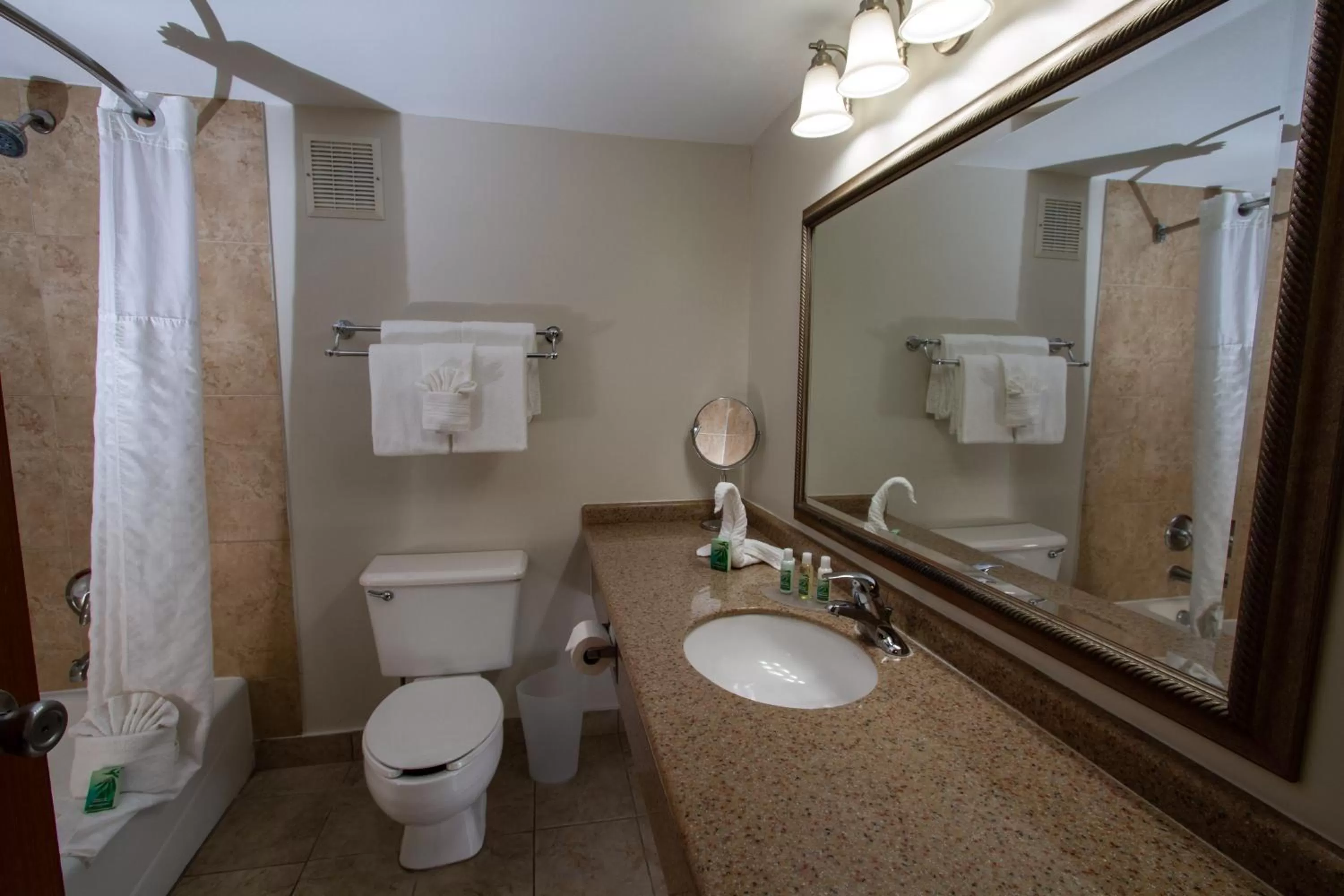 Toilet in Spark by Hilton Ponce