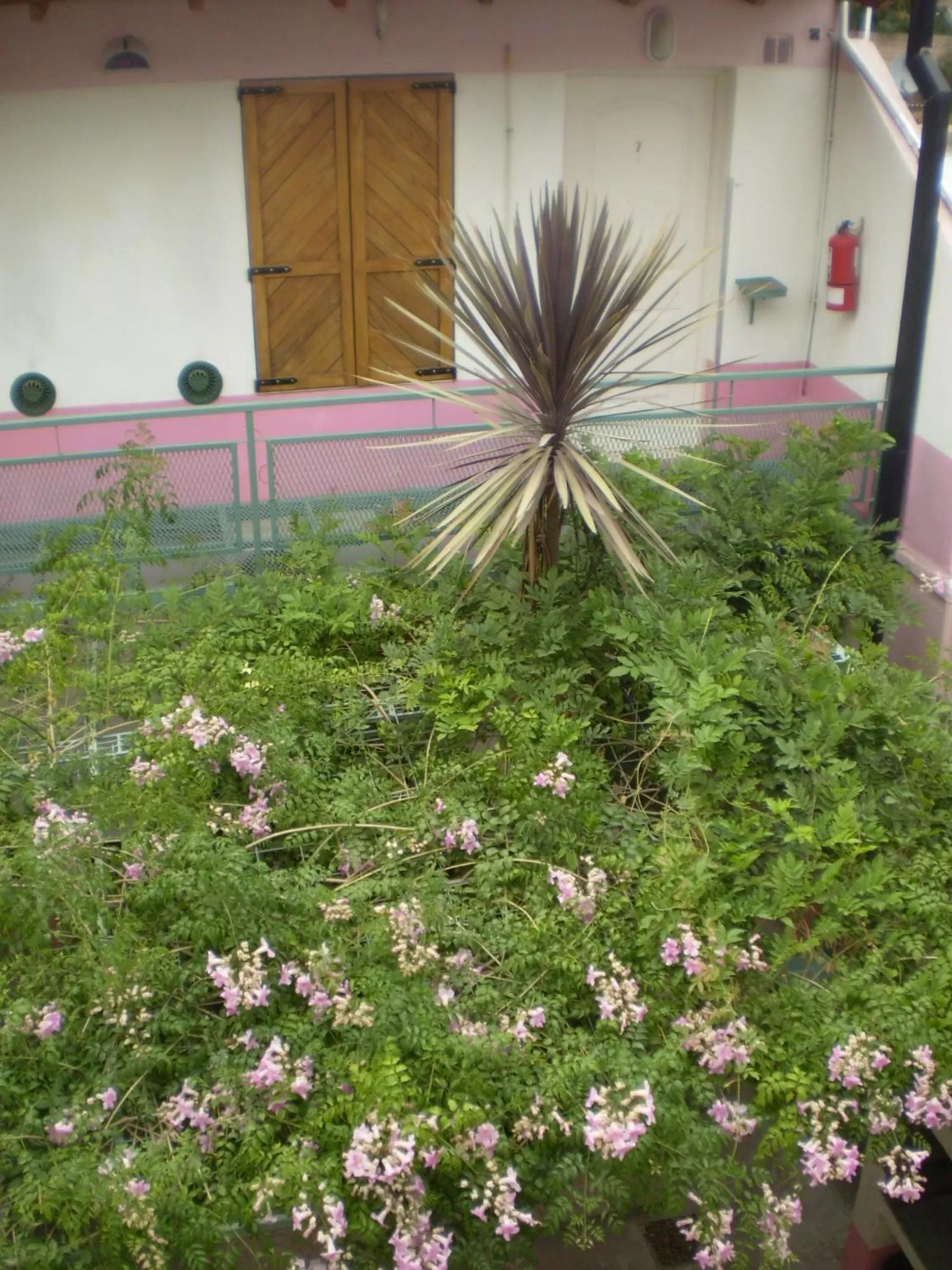 Balcony/Terrace in Complejo Solar Apart