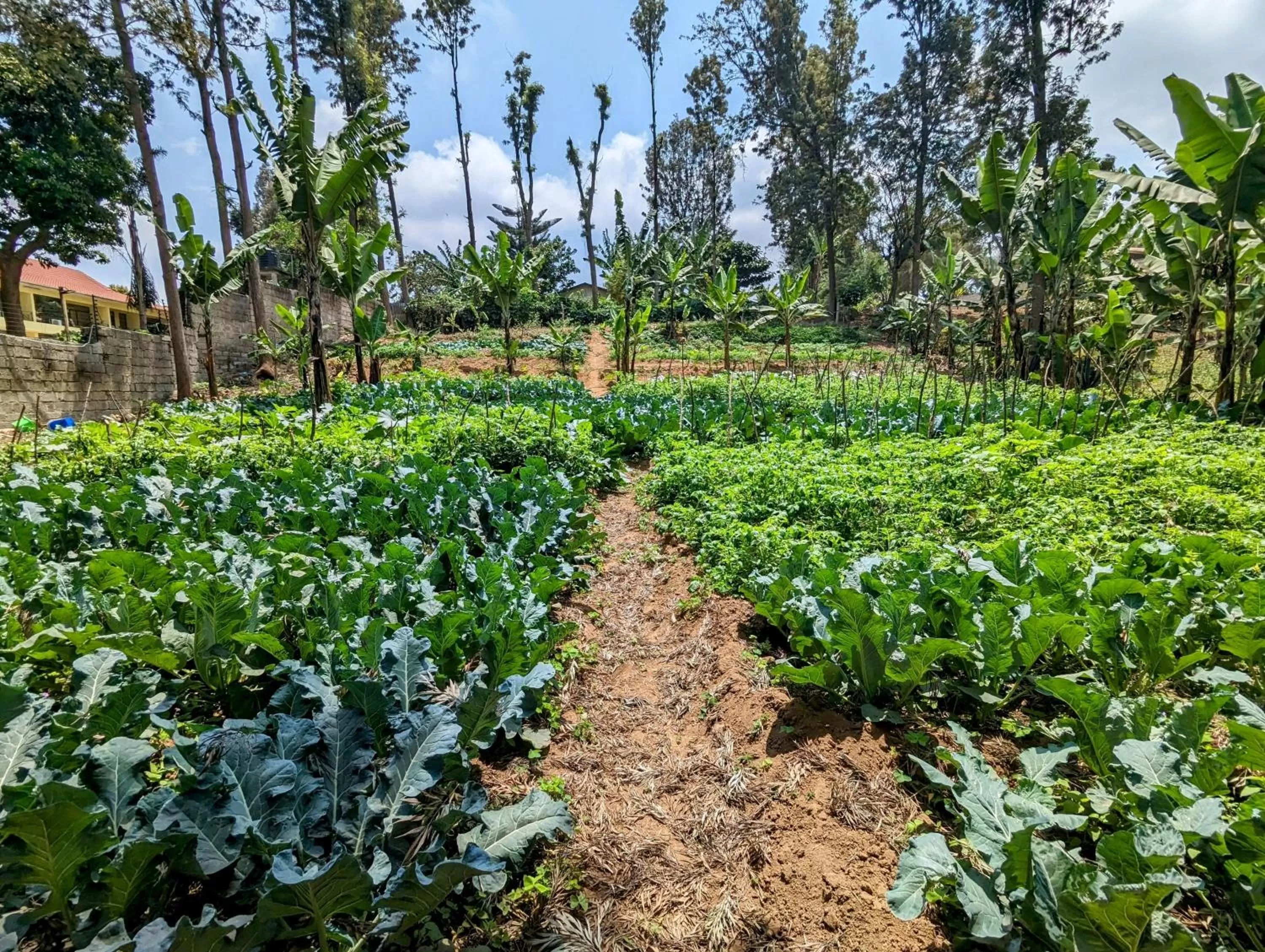 Day in Mvuli Hotels Arusha
