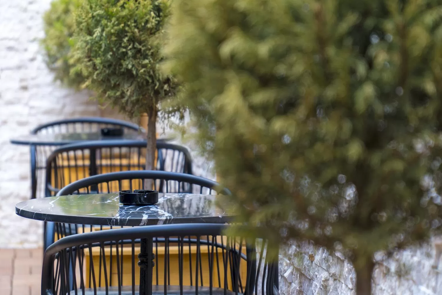 Spring in Greymark Hotel