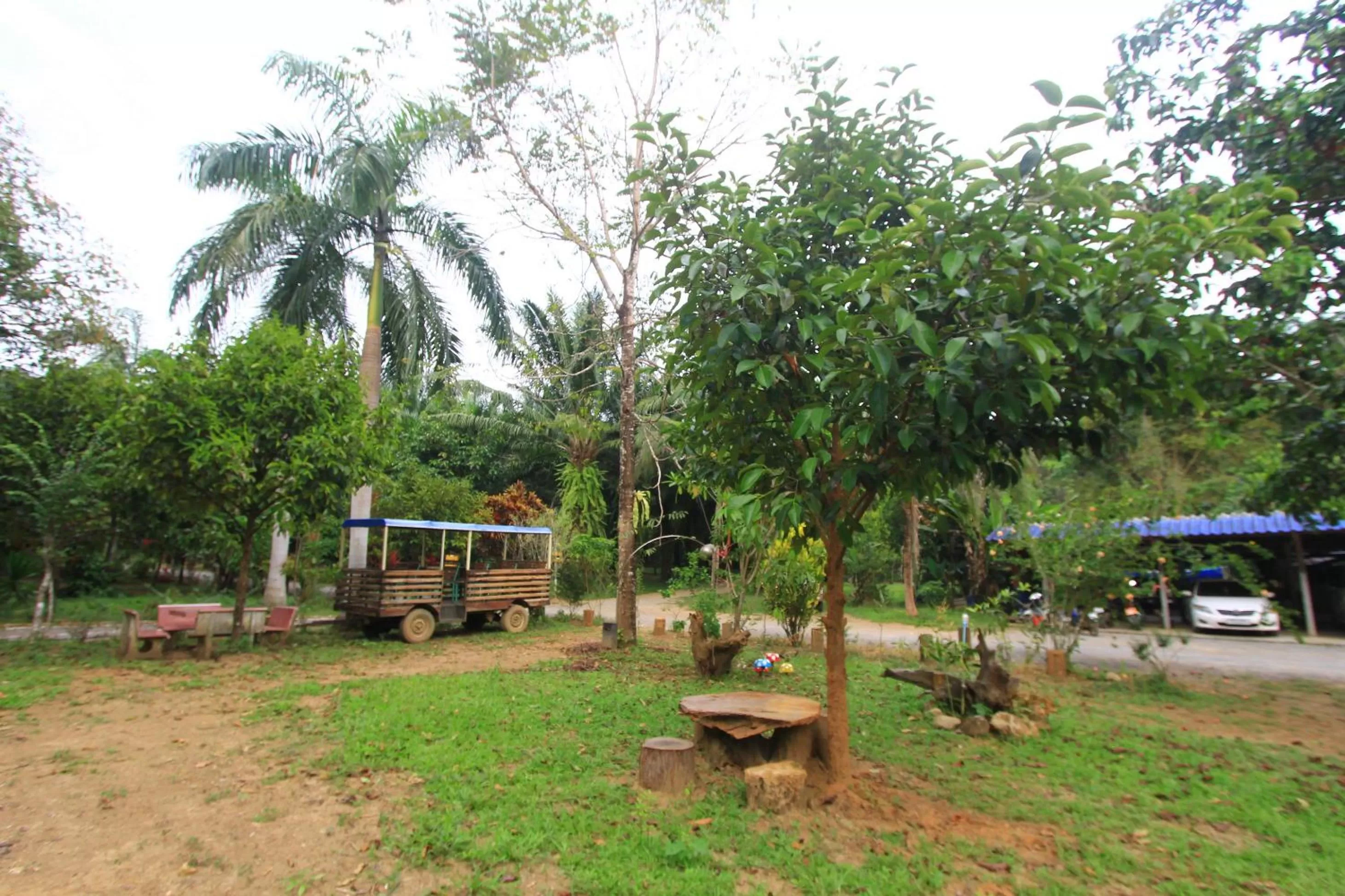 Garden view in Khao Sok Palmview Resort
