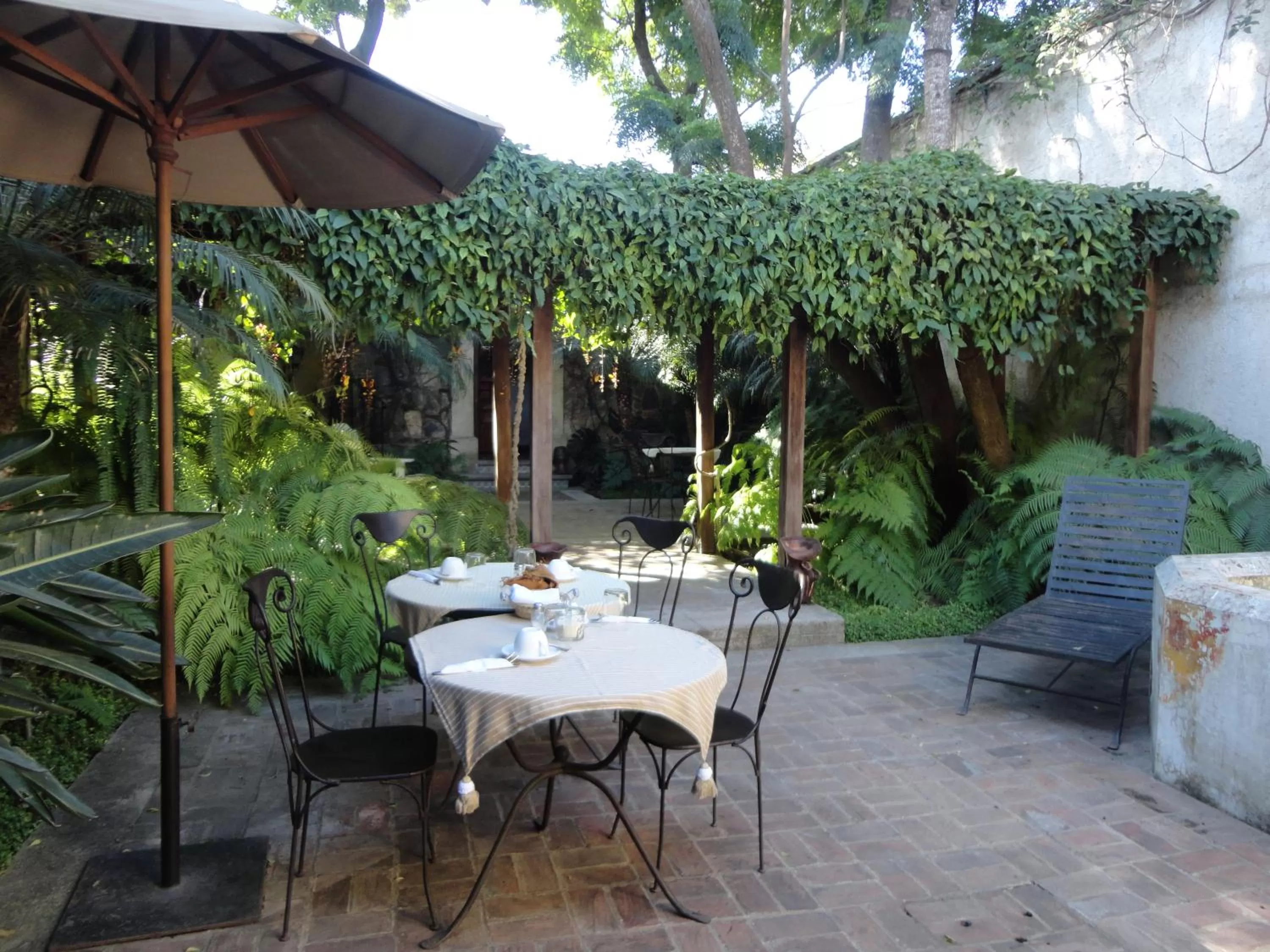 Garden in Cissus Hotel Boutique