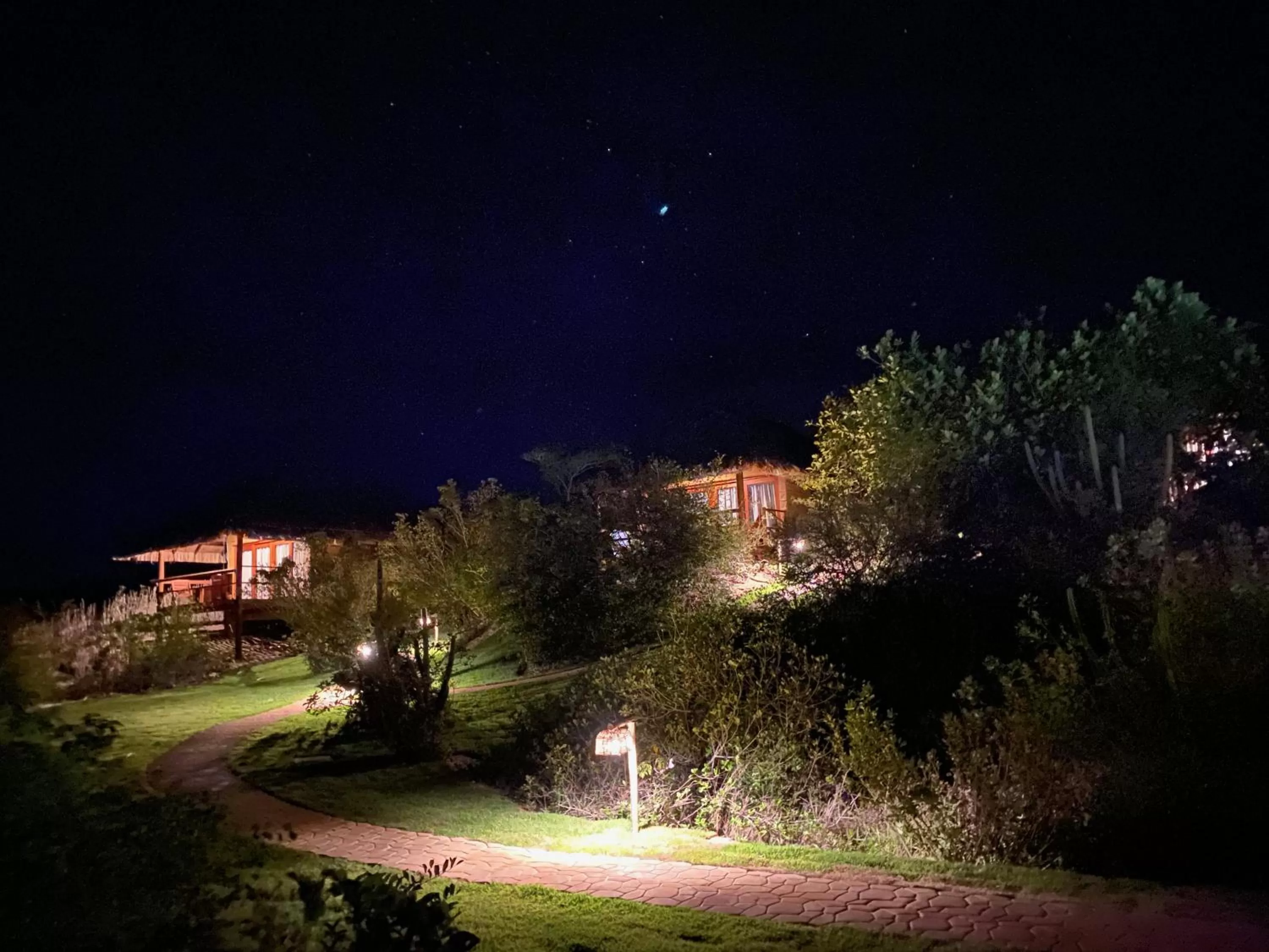 Garden in Kauli Seadi Beach Hotel
