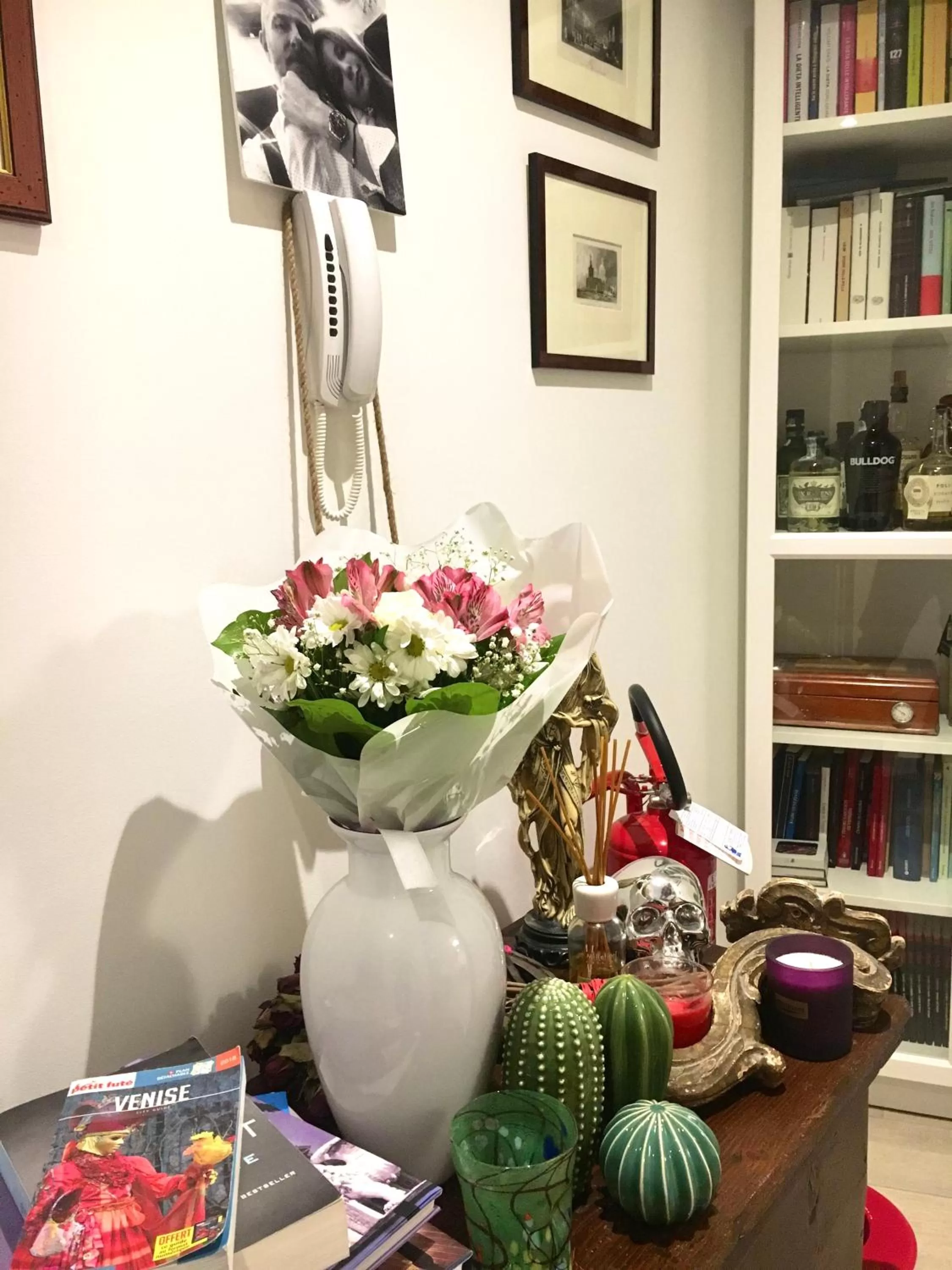 Library in B&B Fortuny