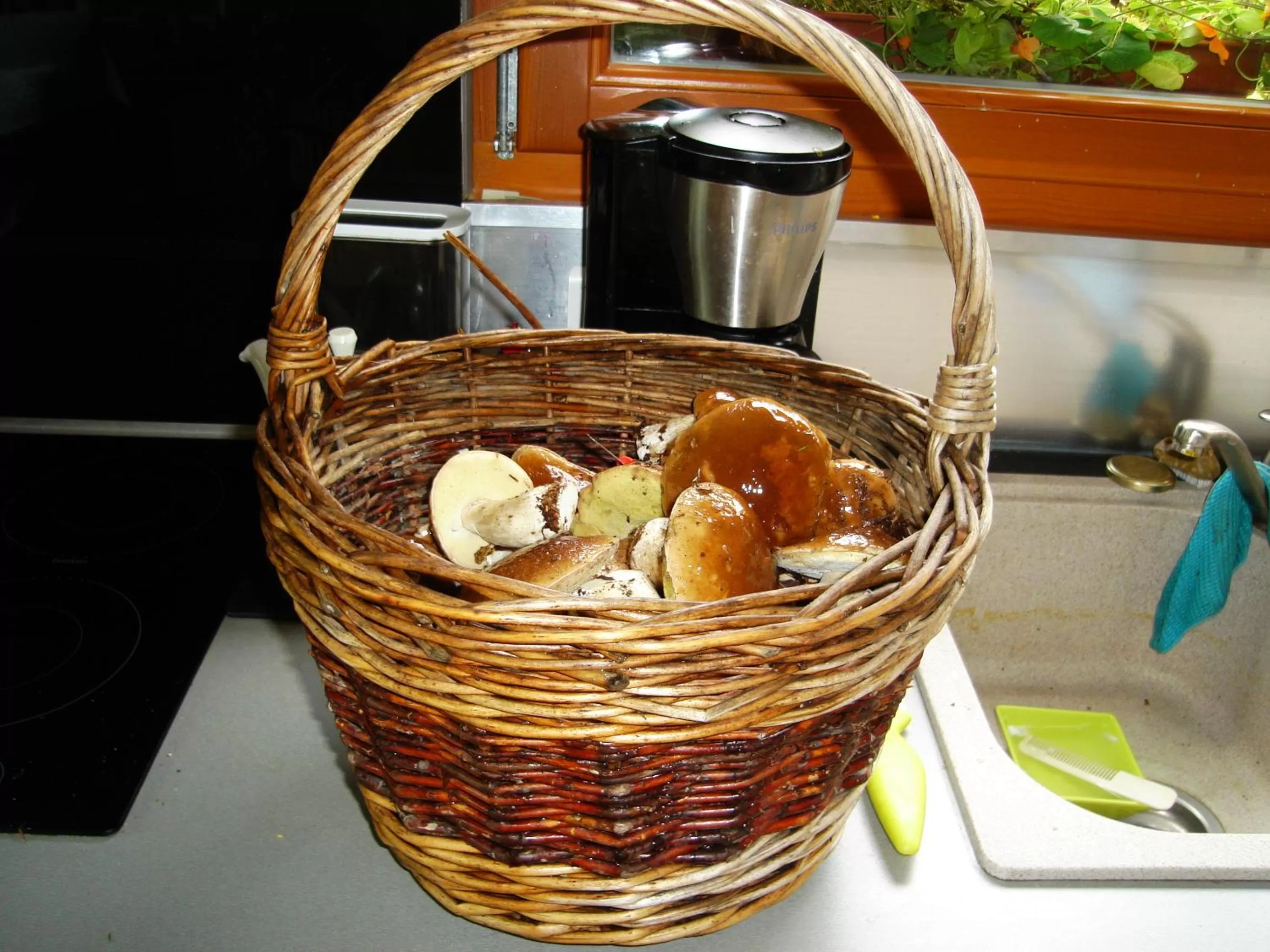 Activities in L'Atelier de Gisèle