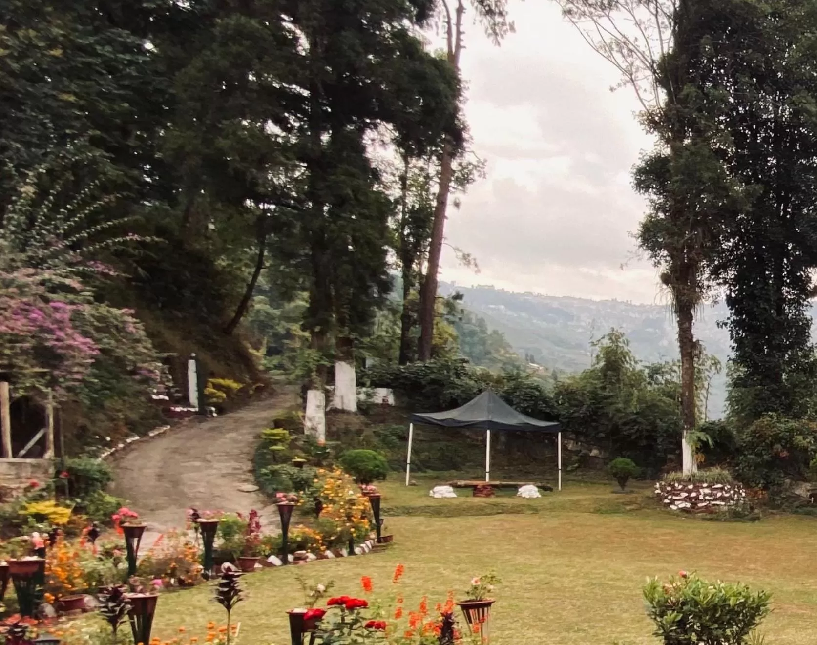 Garden in Singtom Tea Resort