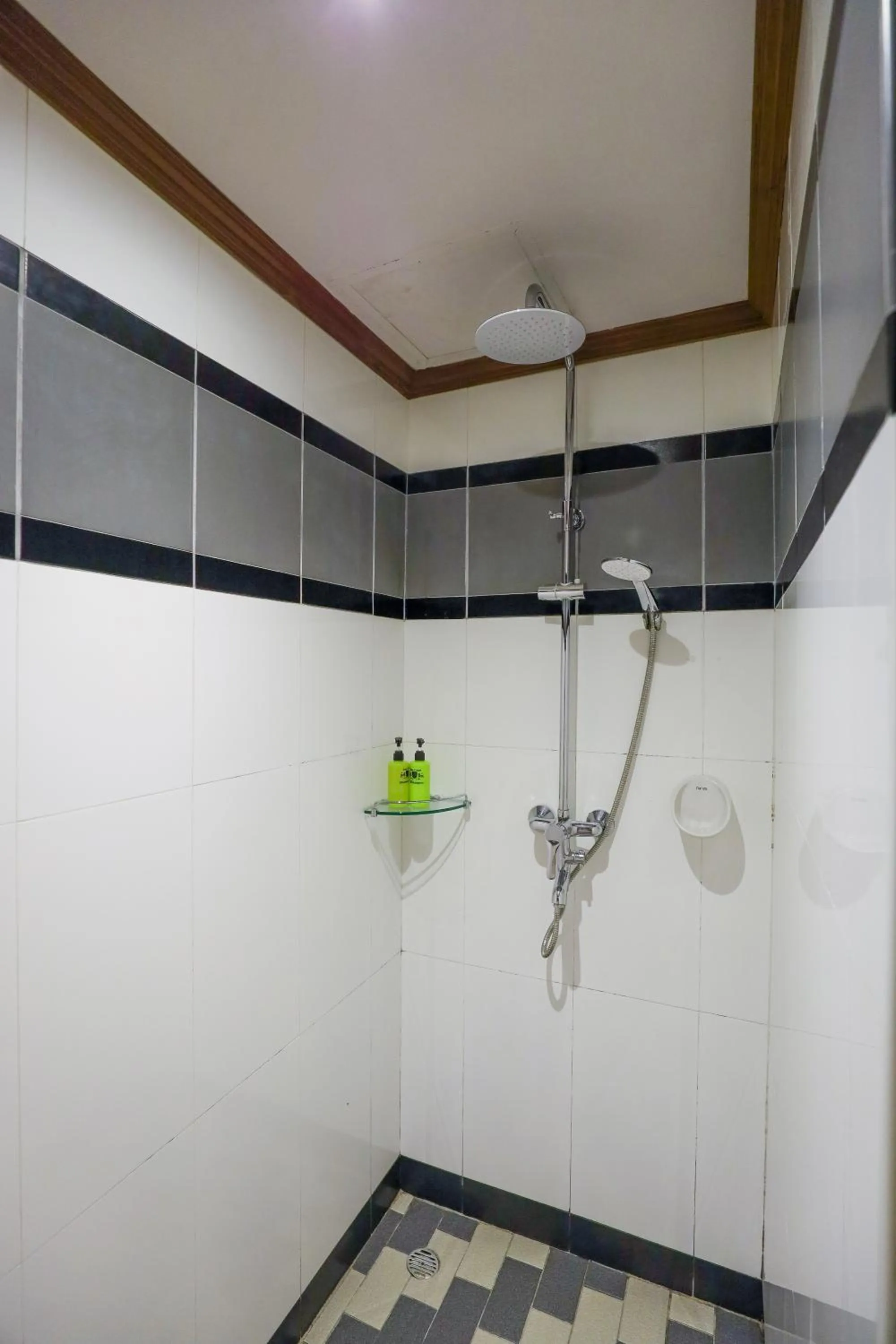 Shower in Tara Court Hotel