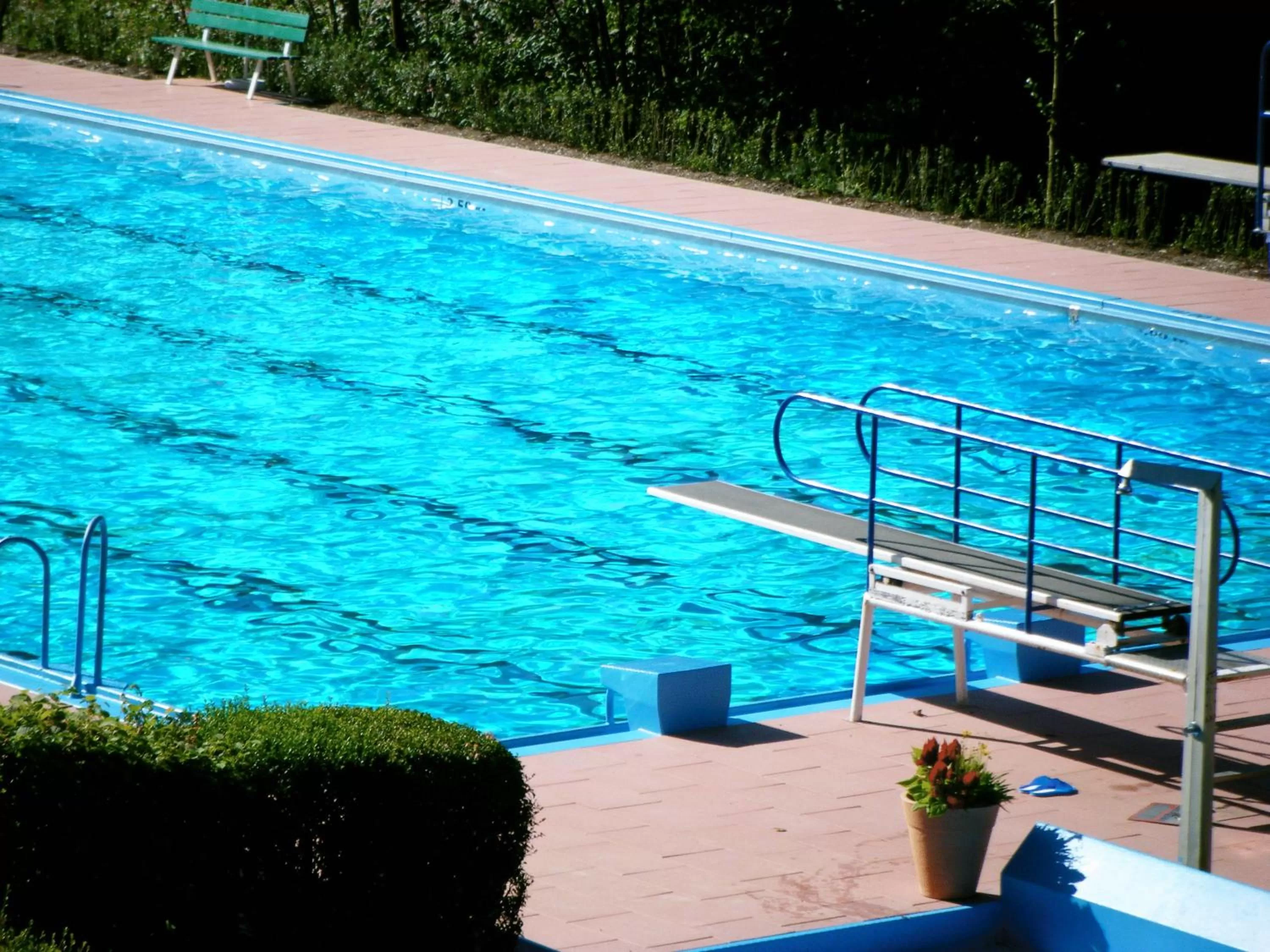Day, Swimming Pool in Hotel Schauinsland