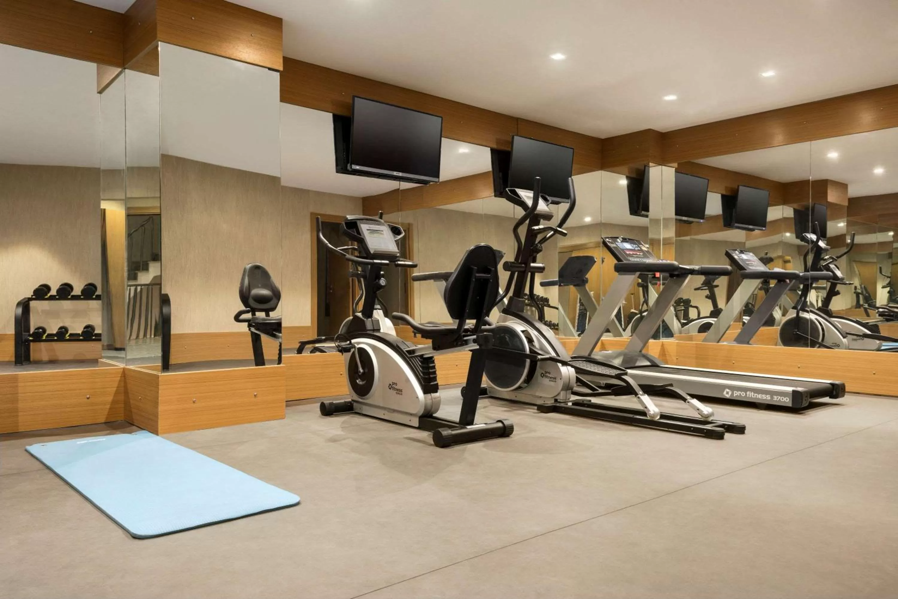 Fitness centre/facilities in Ramada By Wyndham Nilufer Bursa
