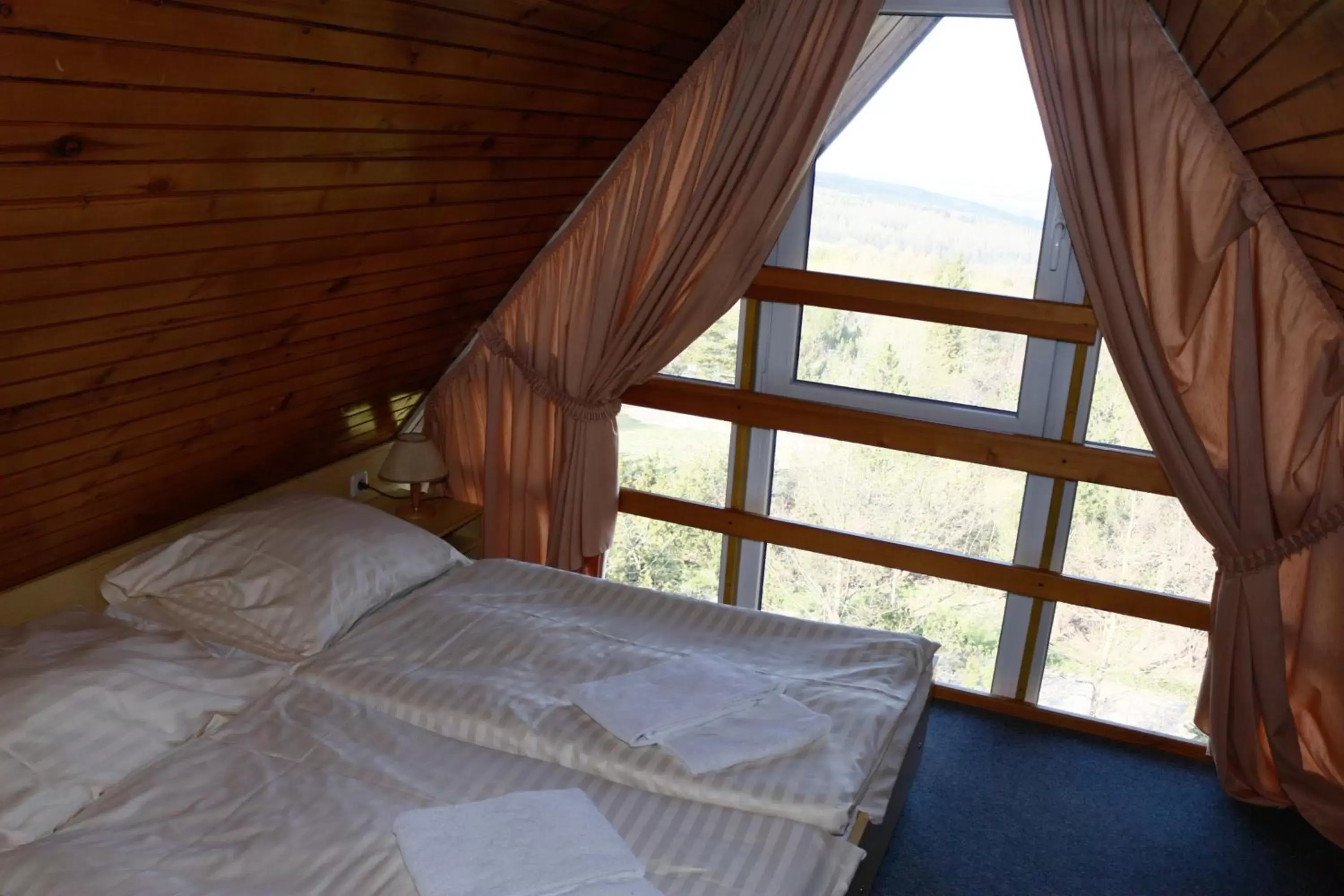 Duplex Apartment in Hotel Lugsteinhof Duplex Apartment in Hotel Lugsteinhof