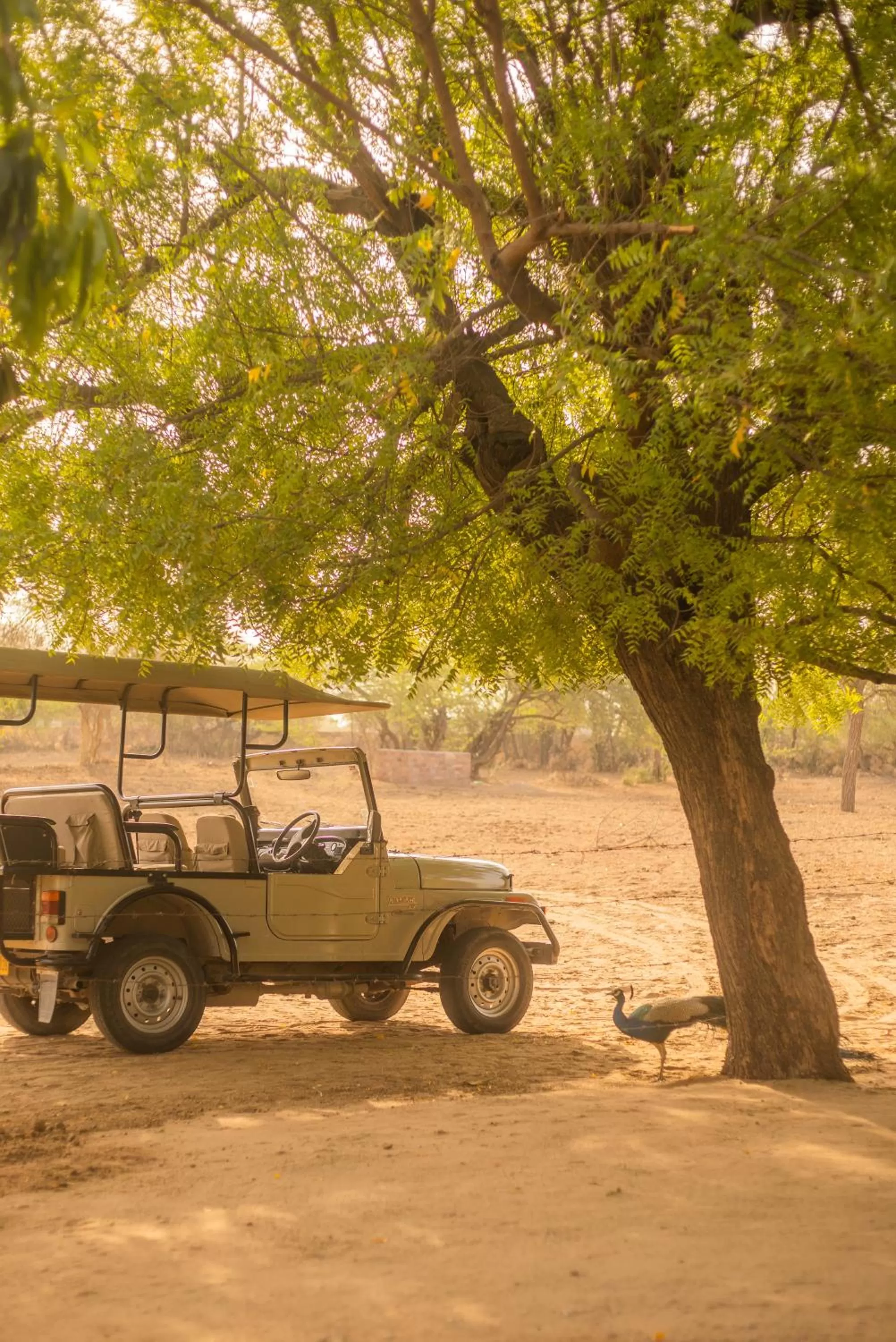 Off site in Daspan House