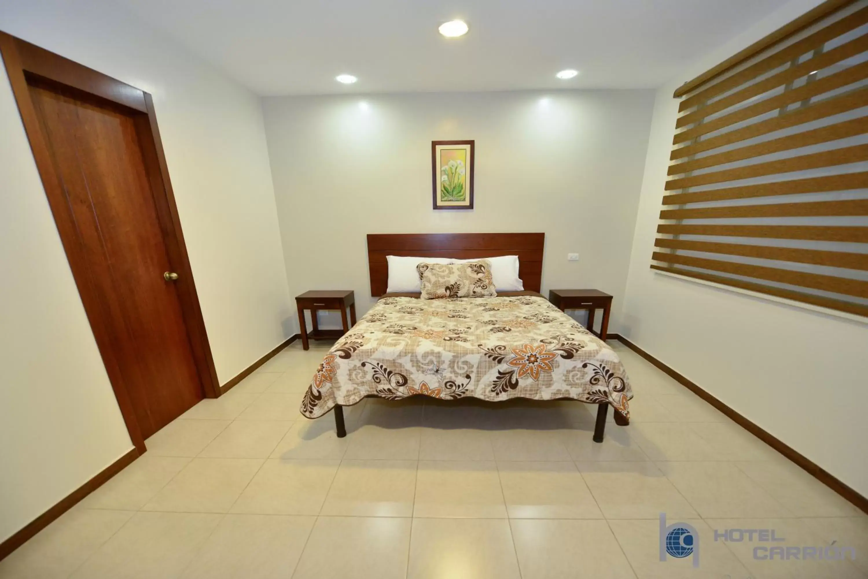 Double Room with Private Bathroom in Hotel Carrion Double Room with Private Bathroom in Hotel Carrion