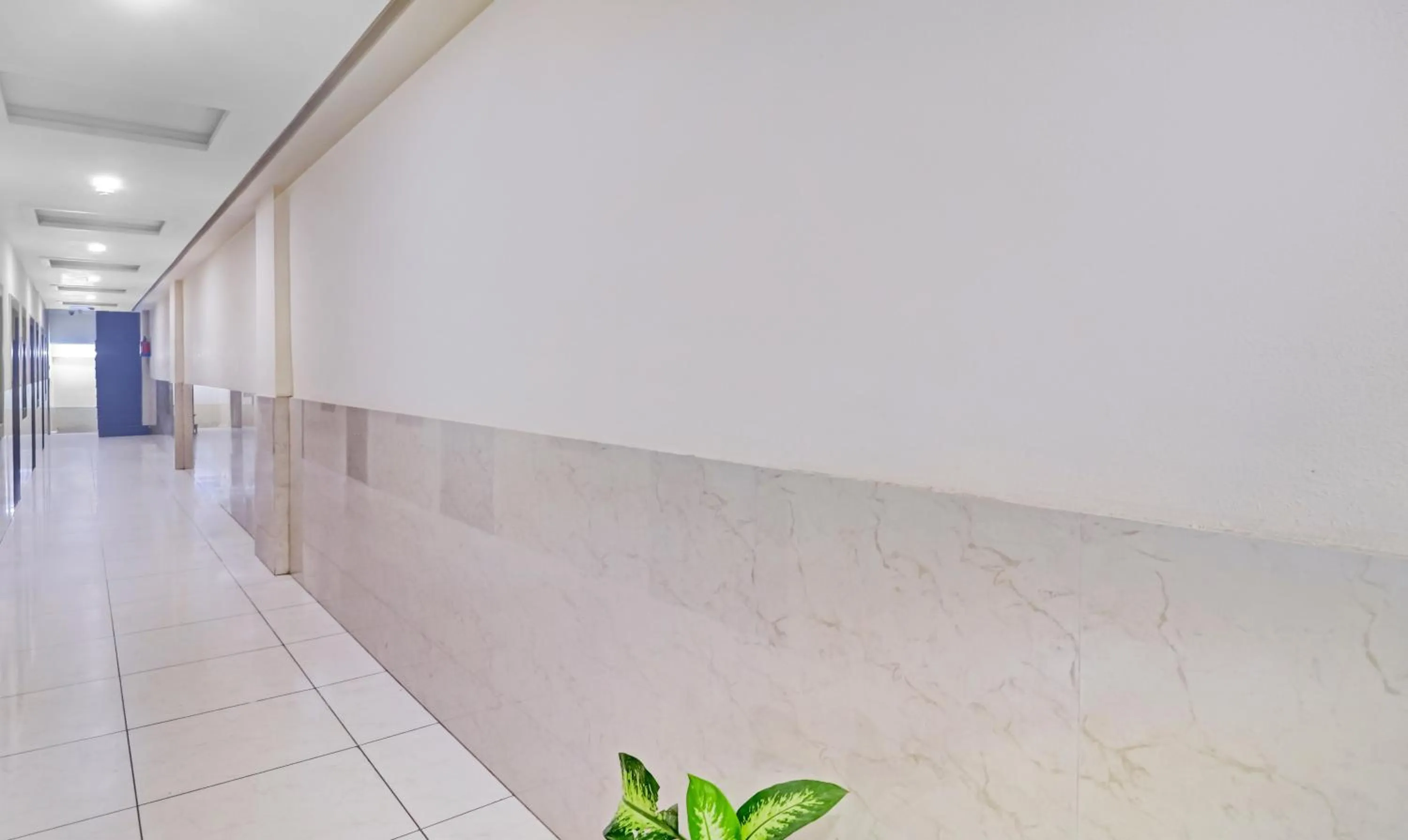 Treebo Trend Taj Dream