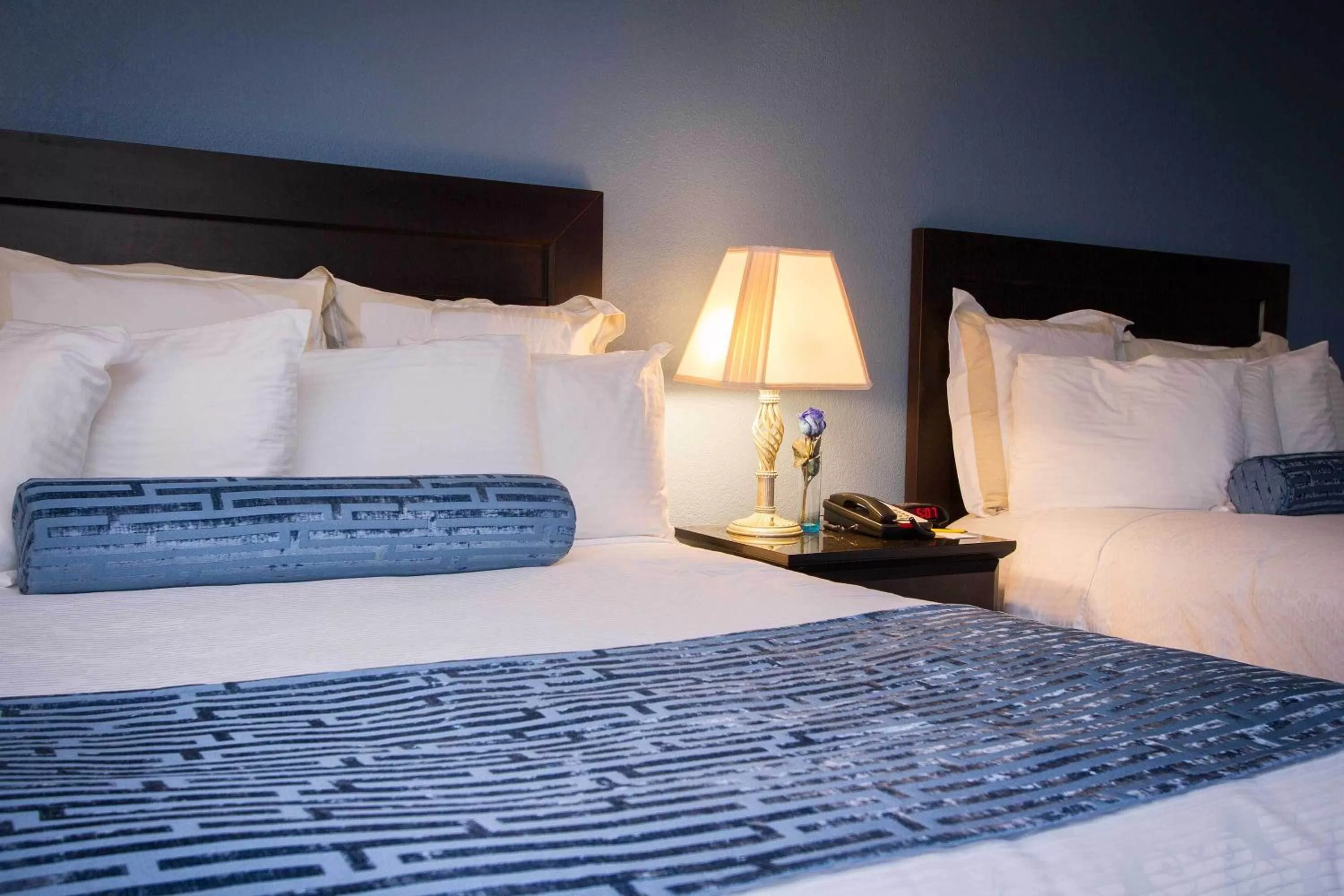 Bedroom, Bed in Regency Inn in Los Angeles