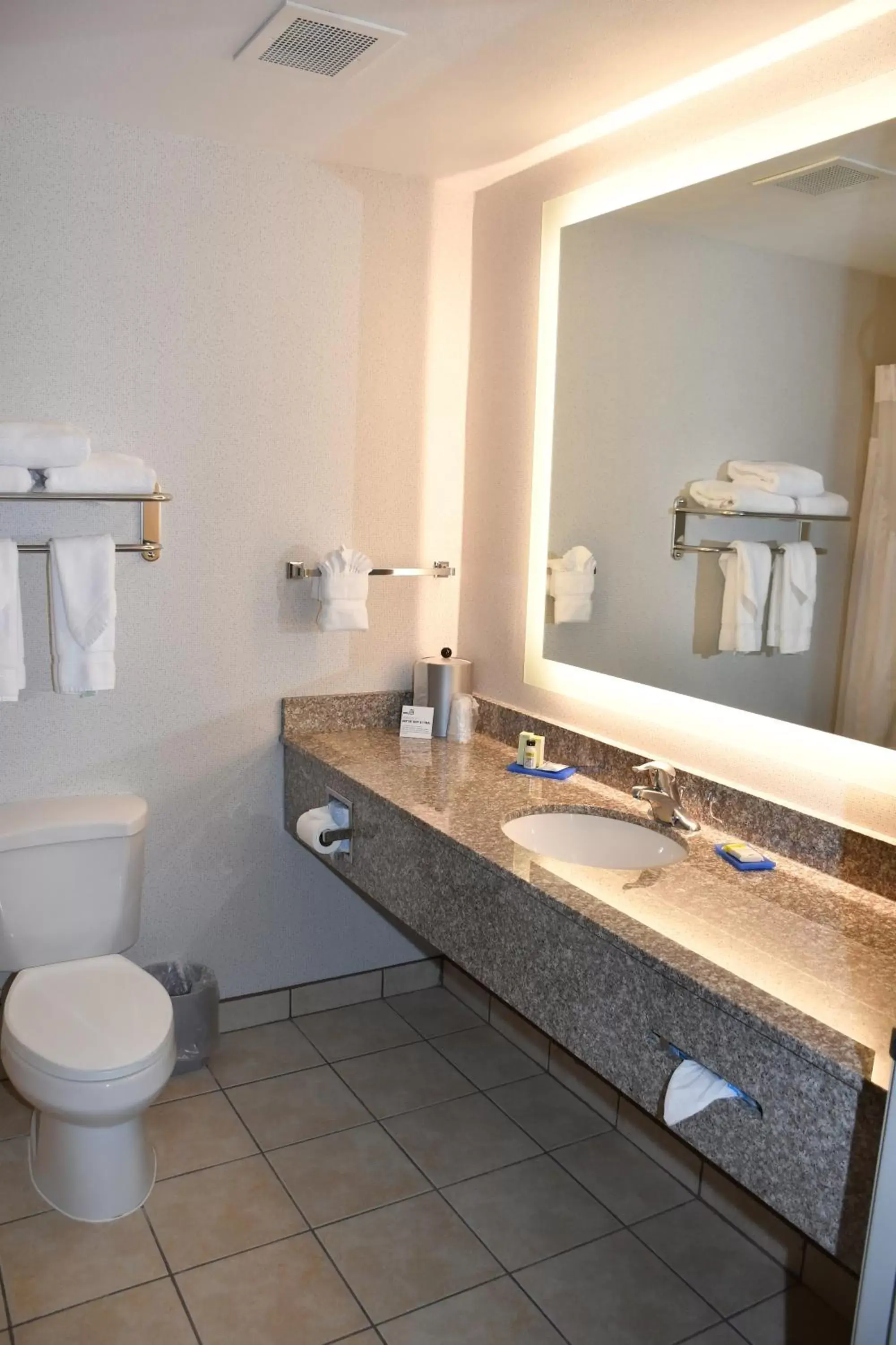 Standard Room in Holiday Inn Express Hotel & Suites Evanston by IHG Standard Room in Holiday Inn Express Hotel & Suites Evanston by IHG