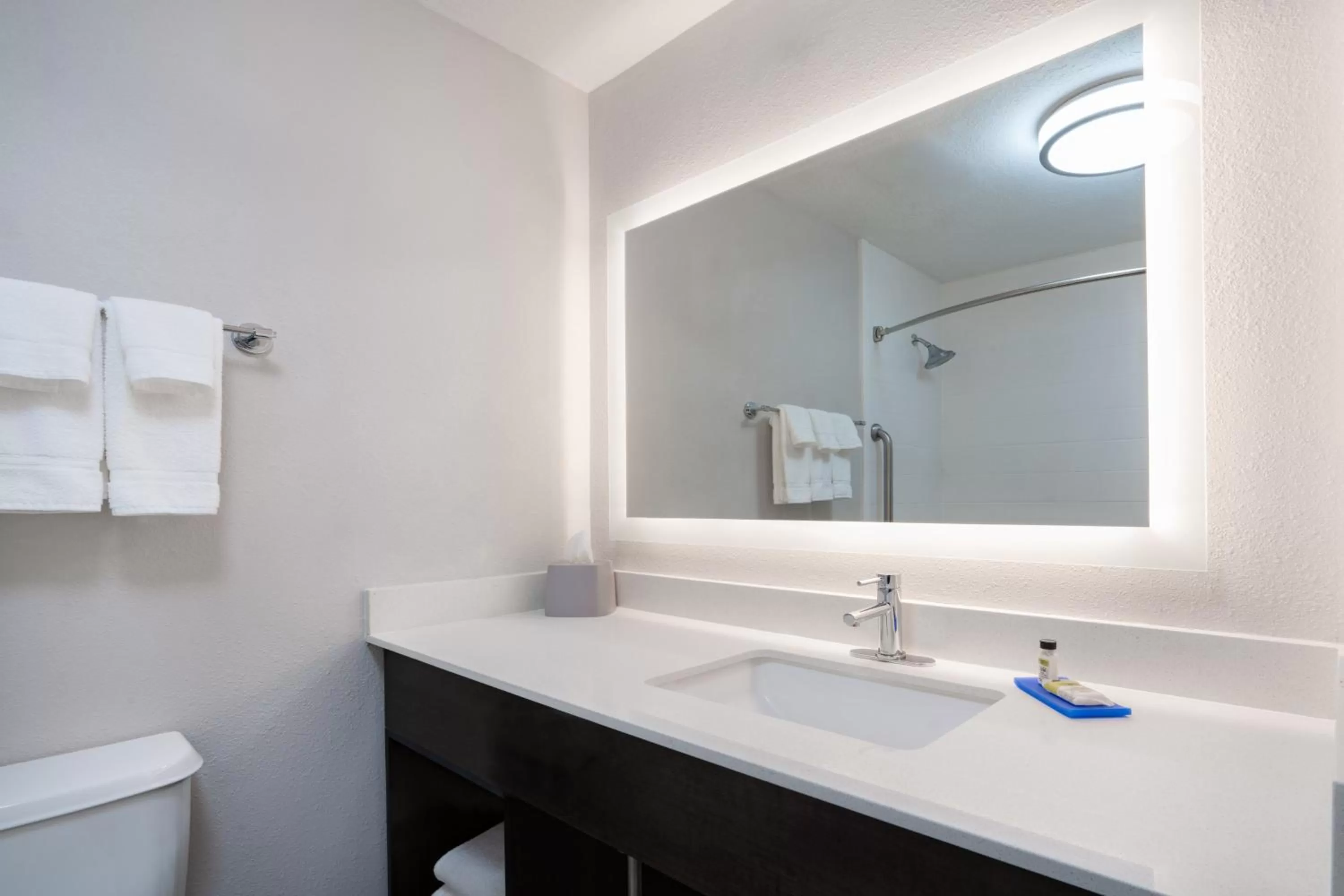 Bathroom in Holiday Inn Express Hotel & Suites Albuquerque - North Balloon Fiesta Park by IHG