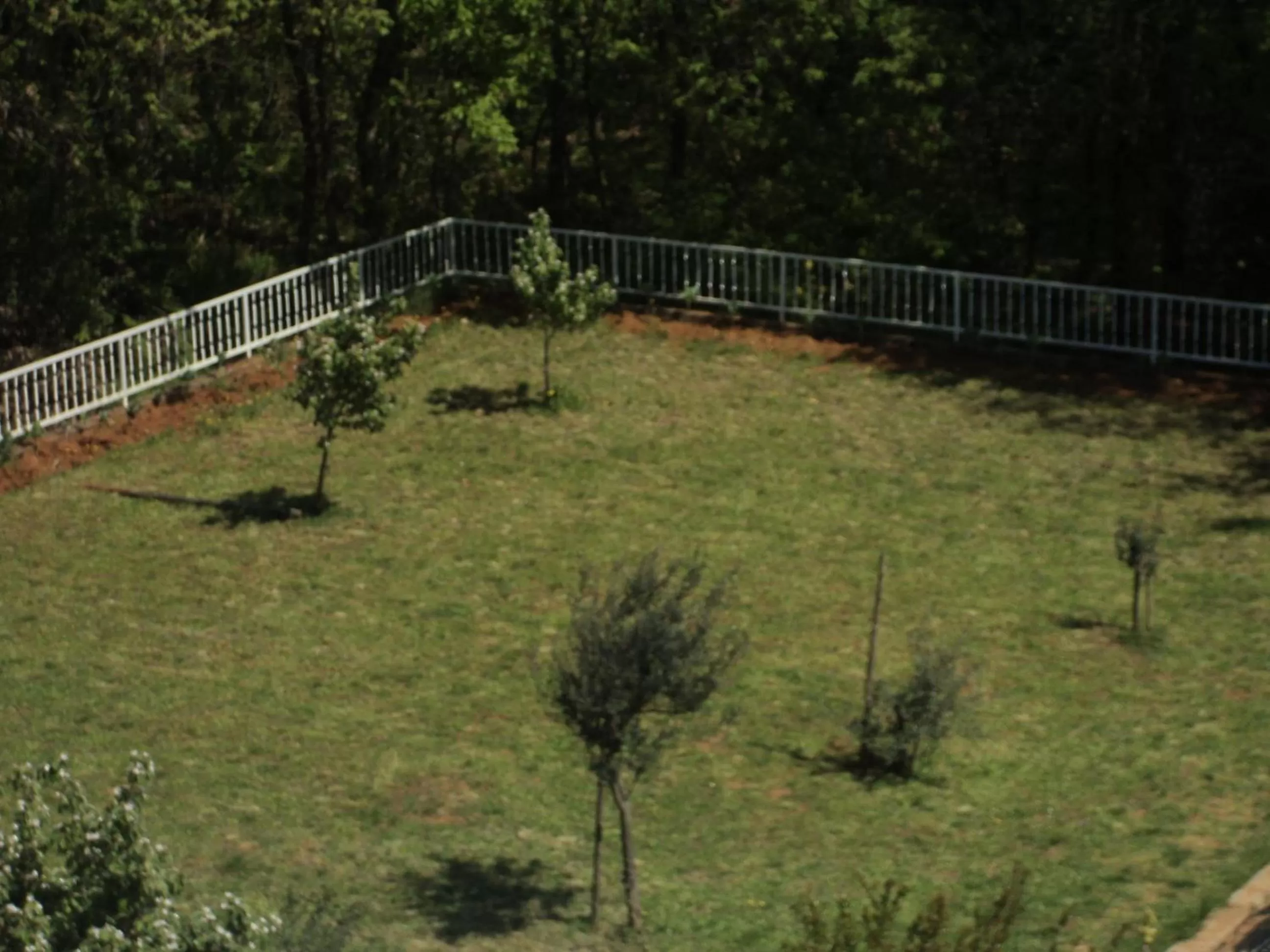 Garden in Pansion Modana Medjugorje