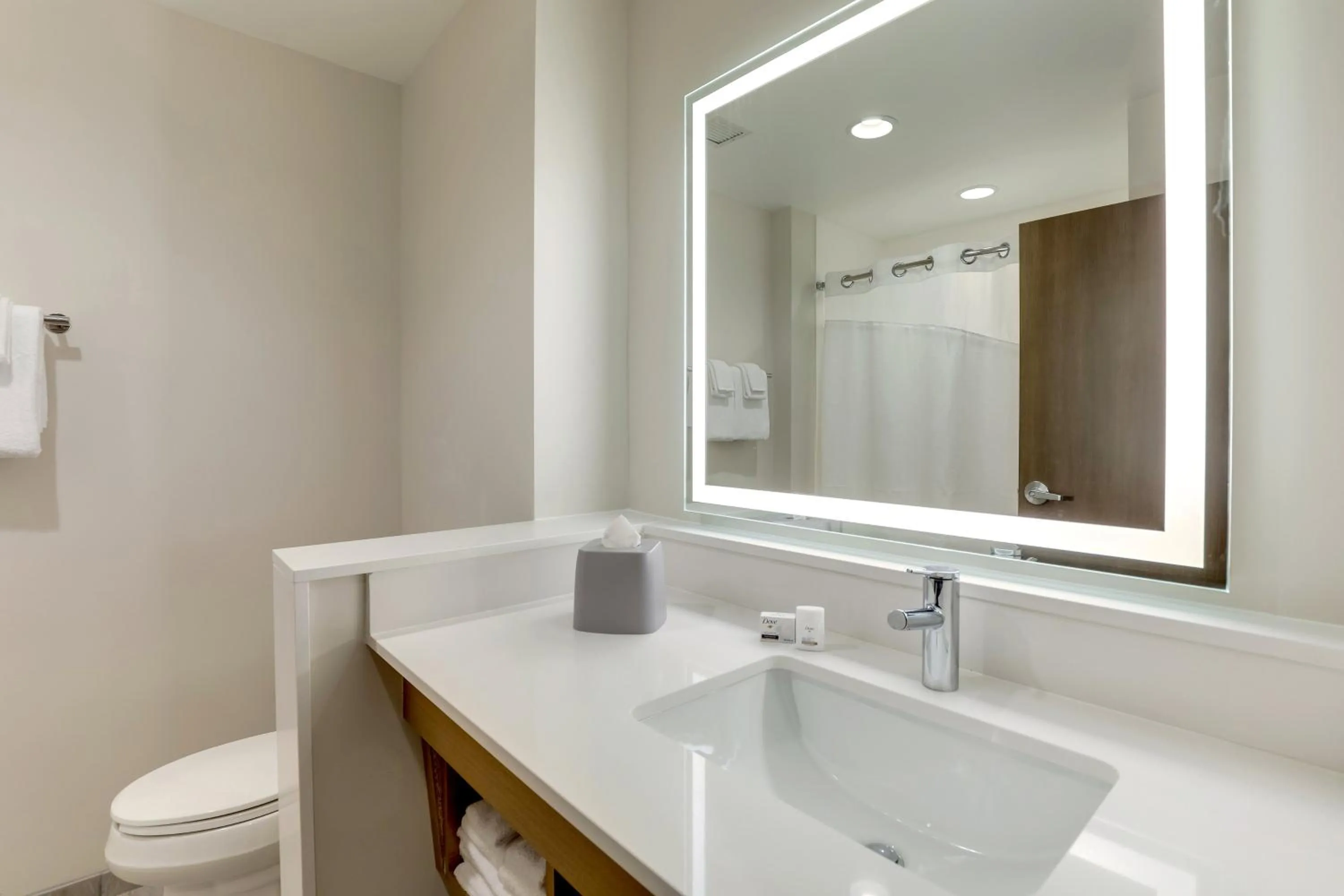 Bathroom in Holiday Inn Express Holly Springs - Raleigh Area by IHG