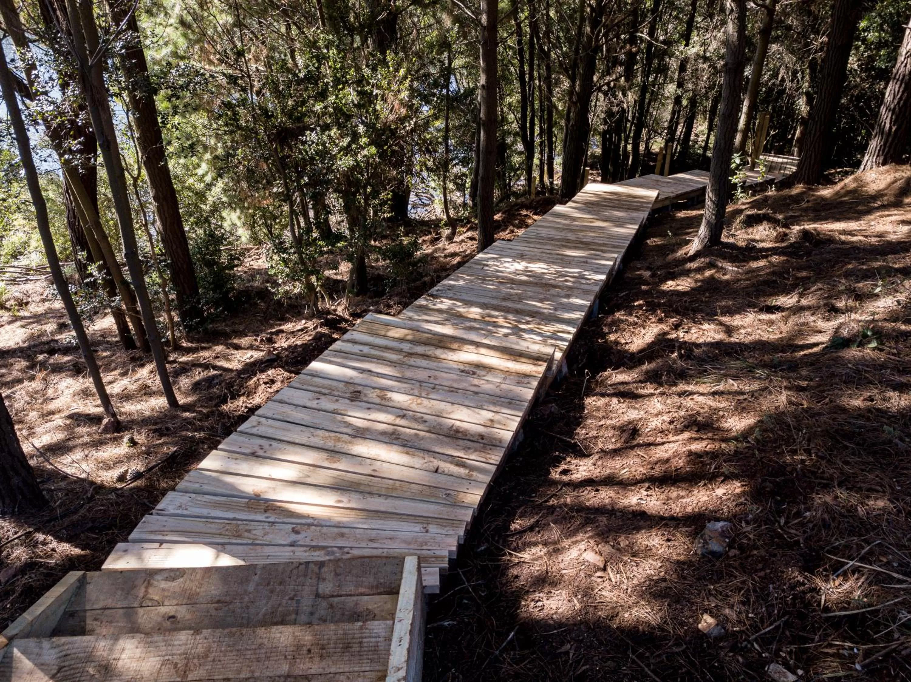 Natural landscape in Pura Lodge
