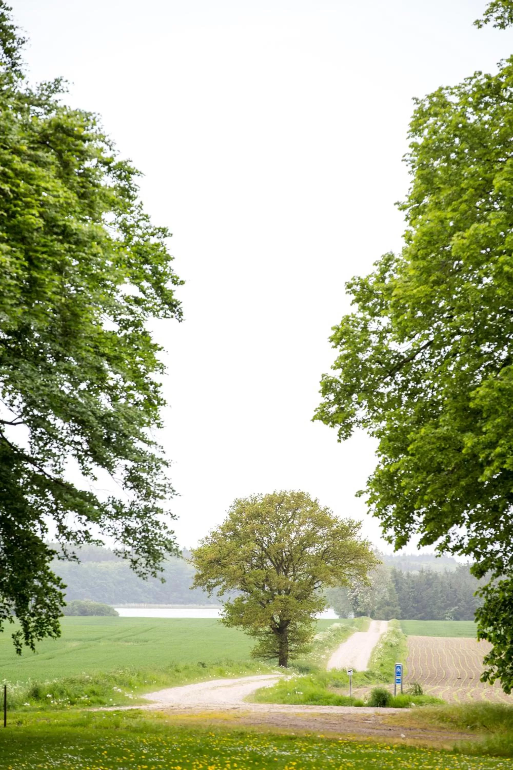 Garden in Ny Kirstineberg Gods Bed & Breakfast