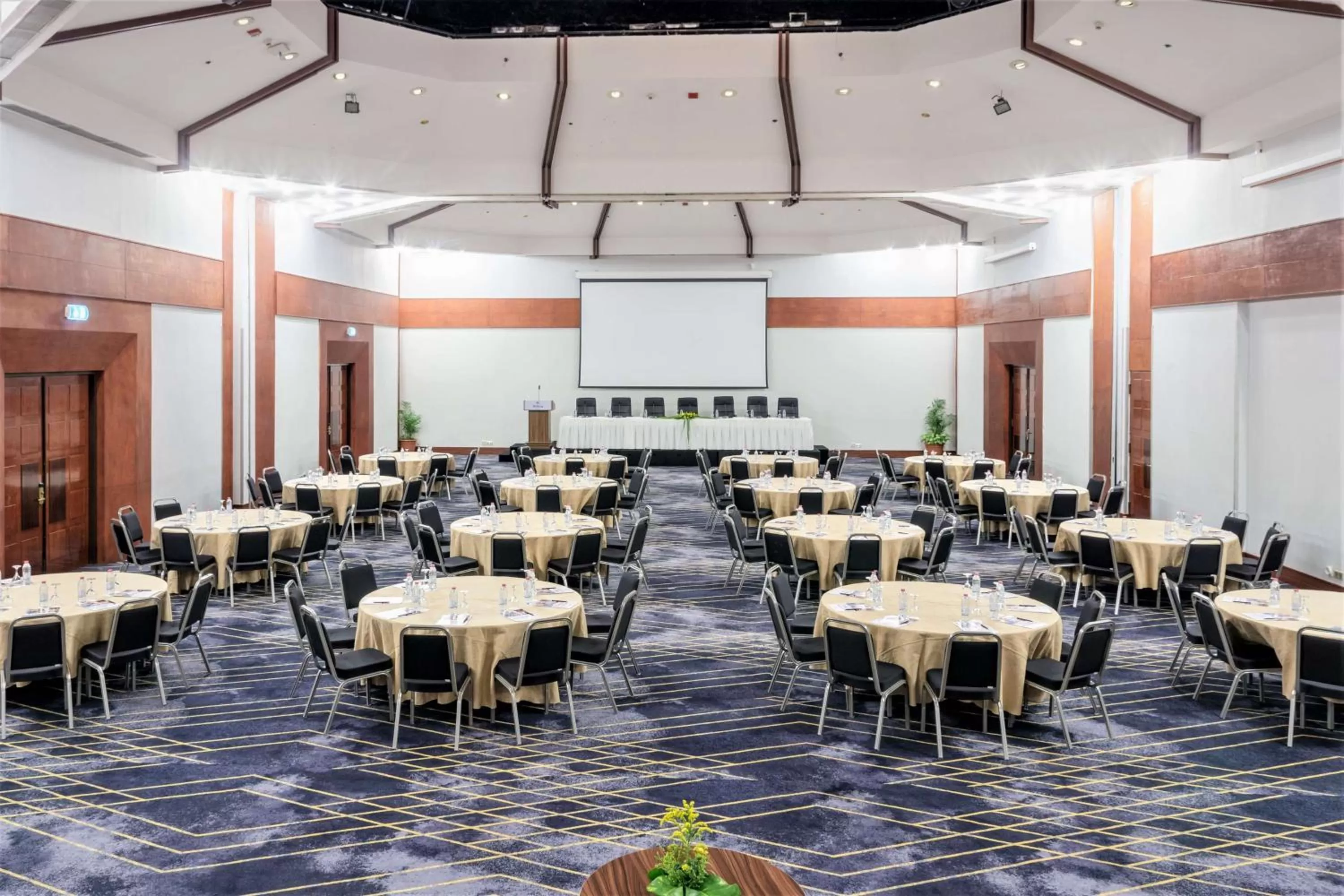 Meeting/conference room in Hilton Yaounde