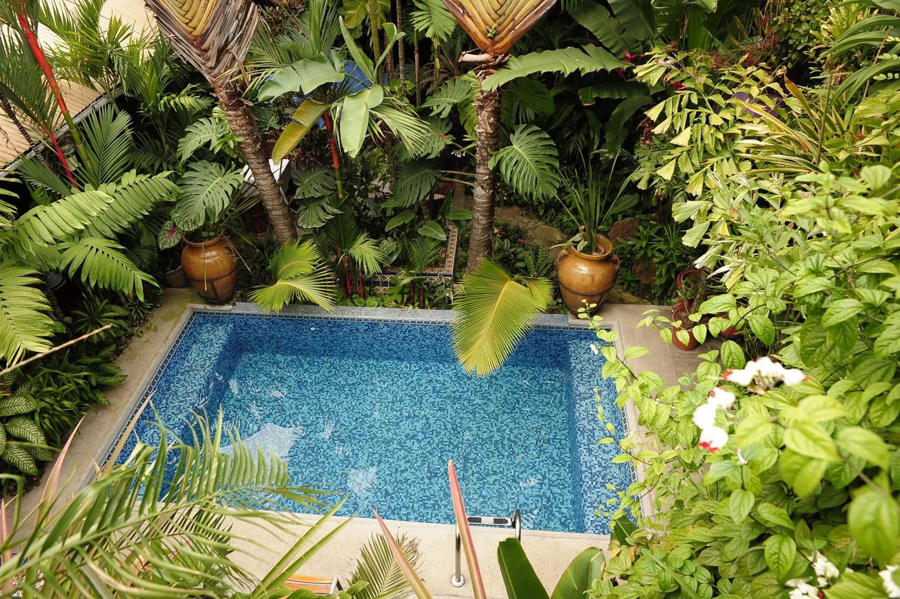 Swimming pool in Hotel Boutique Casona Maya Mexicana