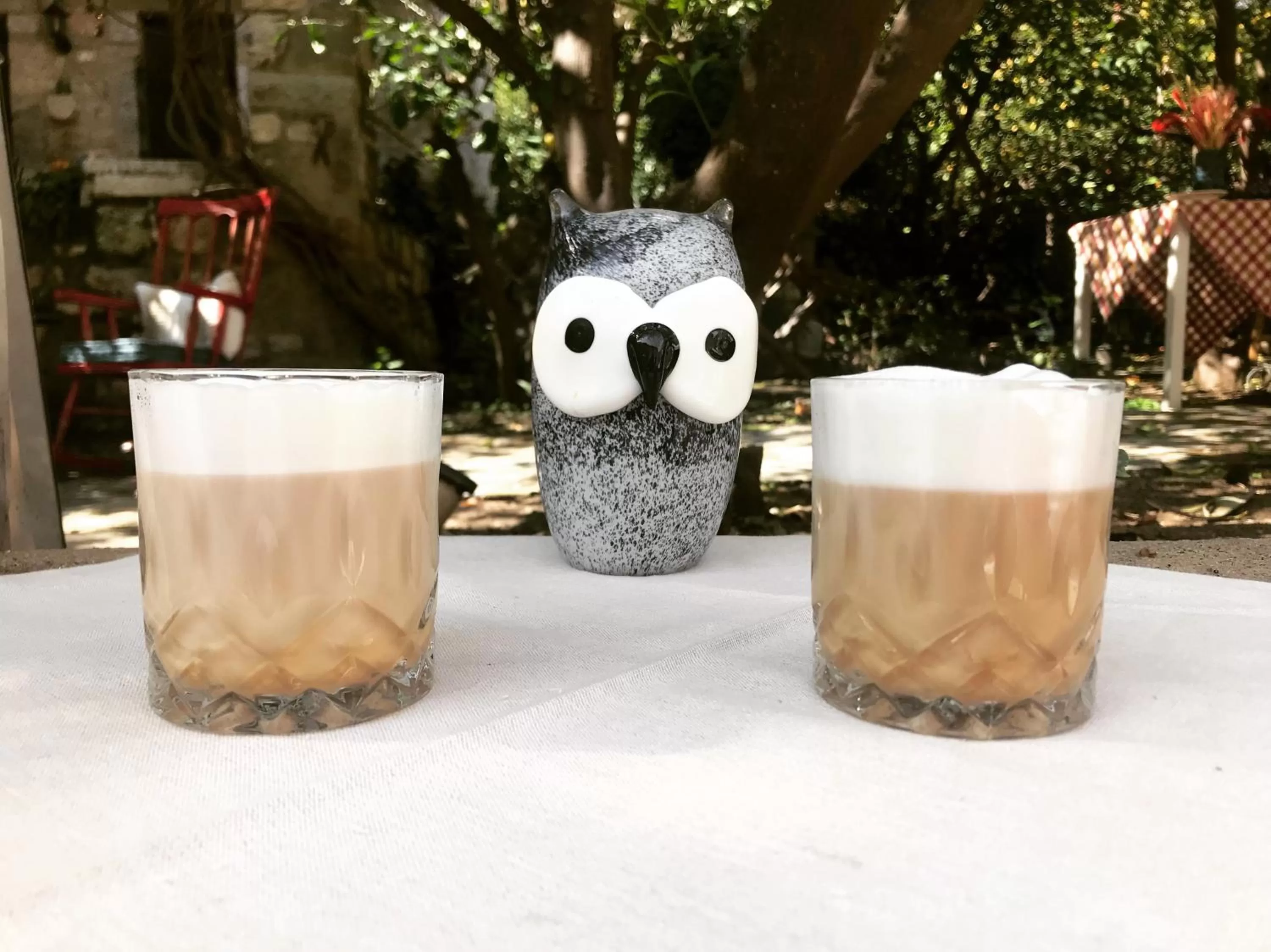 Non alcoholic drinks, Drinks in Ha La Bodrum