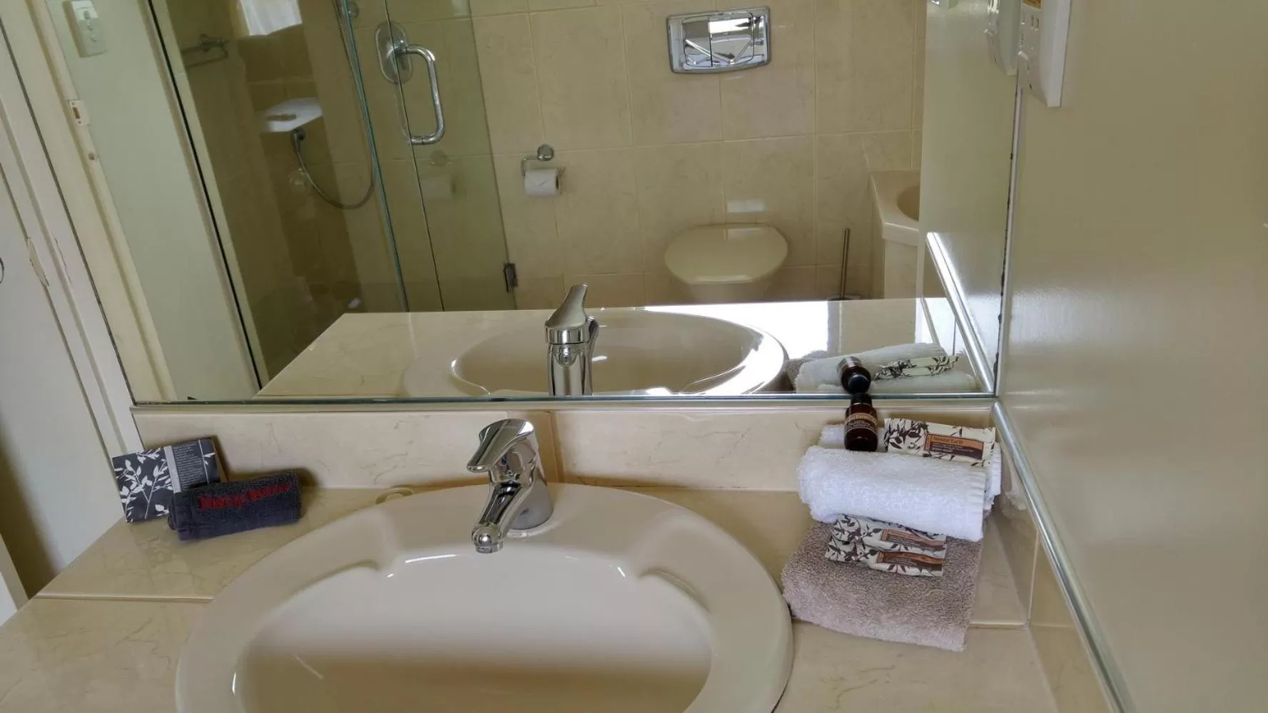 Bathroom in Hobson's Choice Motel