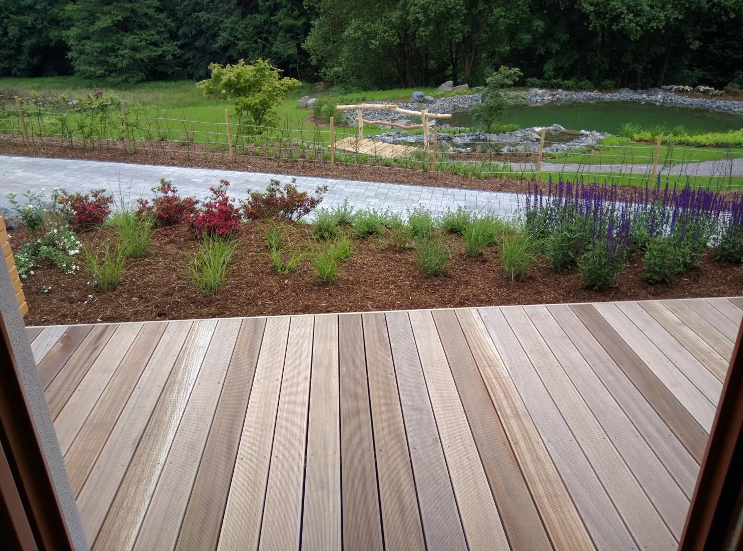 Double Room with Terrace - single occupancy in Hotel Zur-Borke Double Room with Terrace - single occupancy in Hotel Zur-Borke