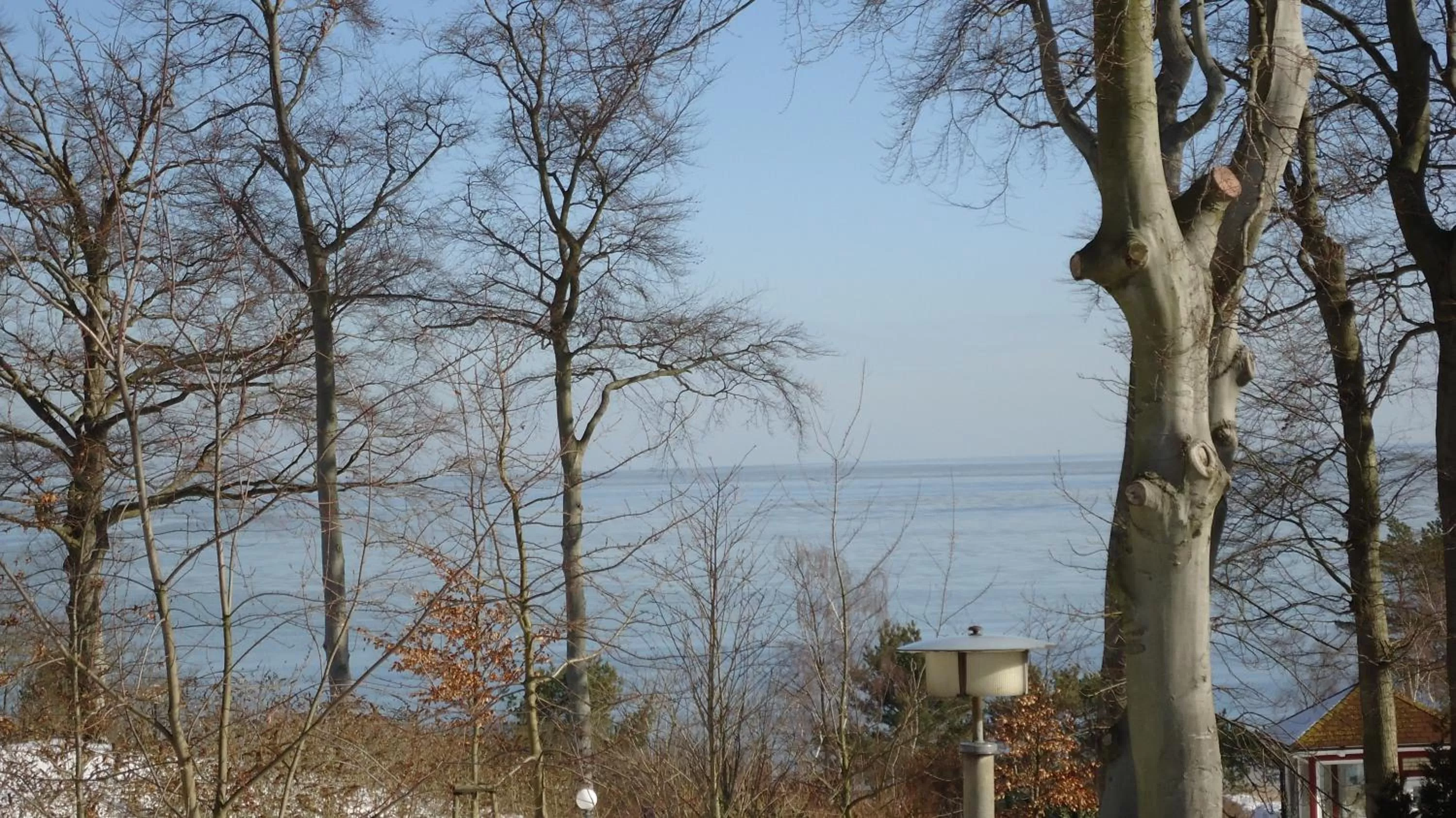 Area and facilities in Hotel Fortuna