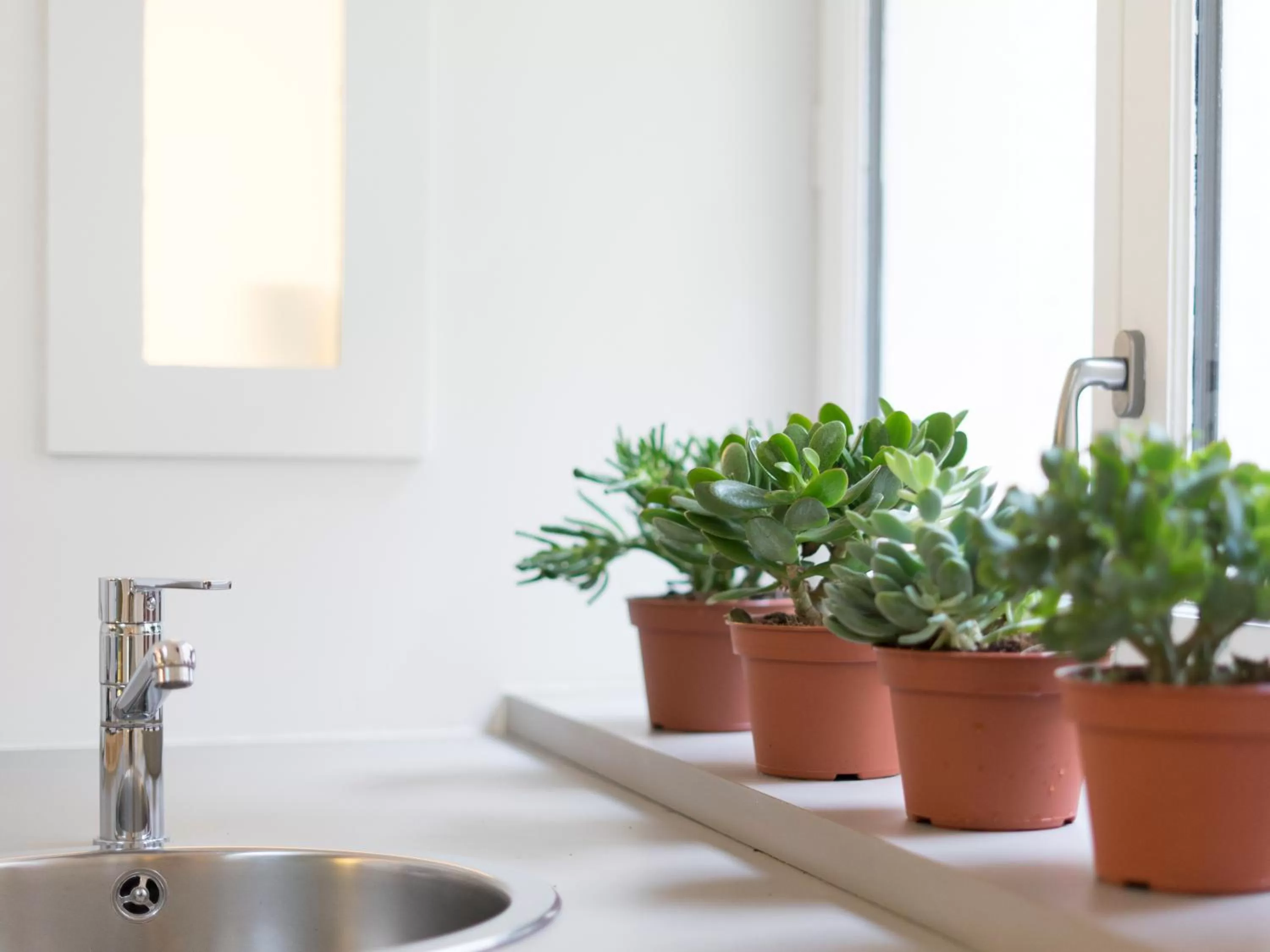 Kitchen or kitchenette, Kitchen/Kitchenette in MiHotel Comte