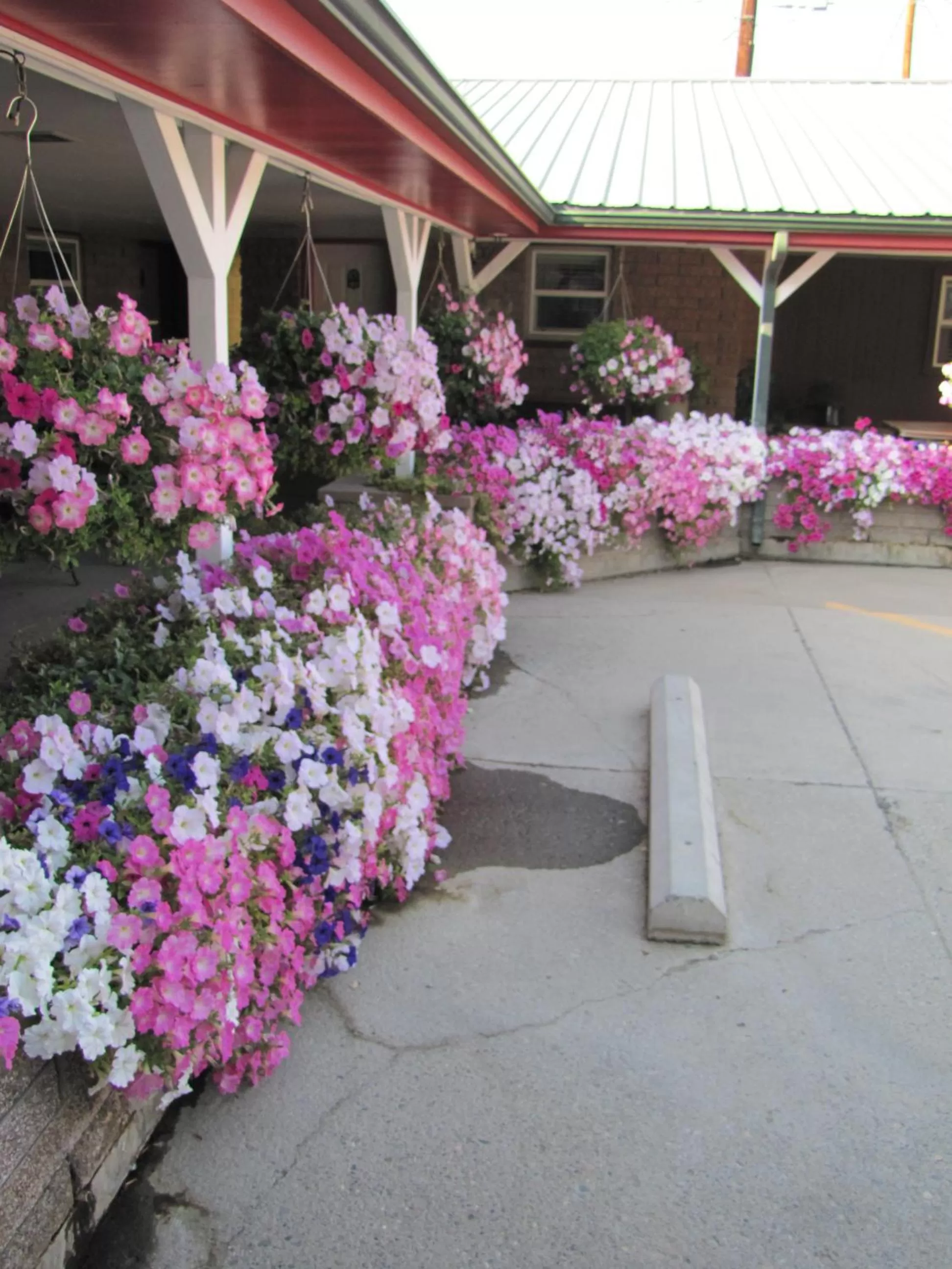 Spring in Greybull Motel