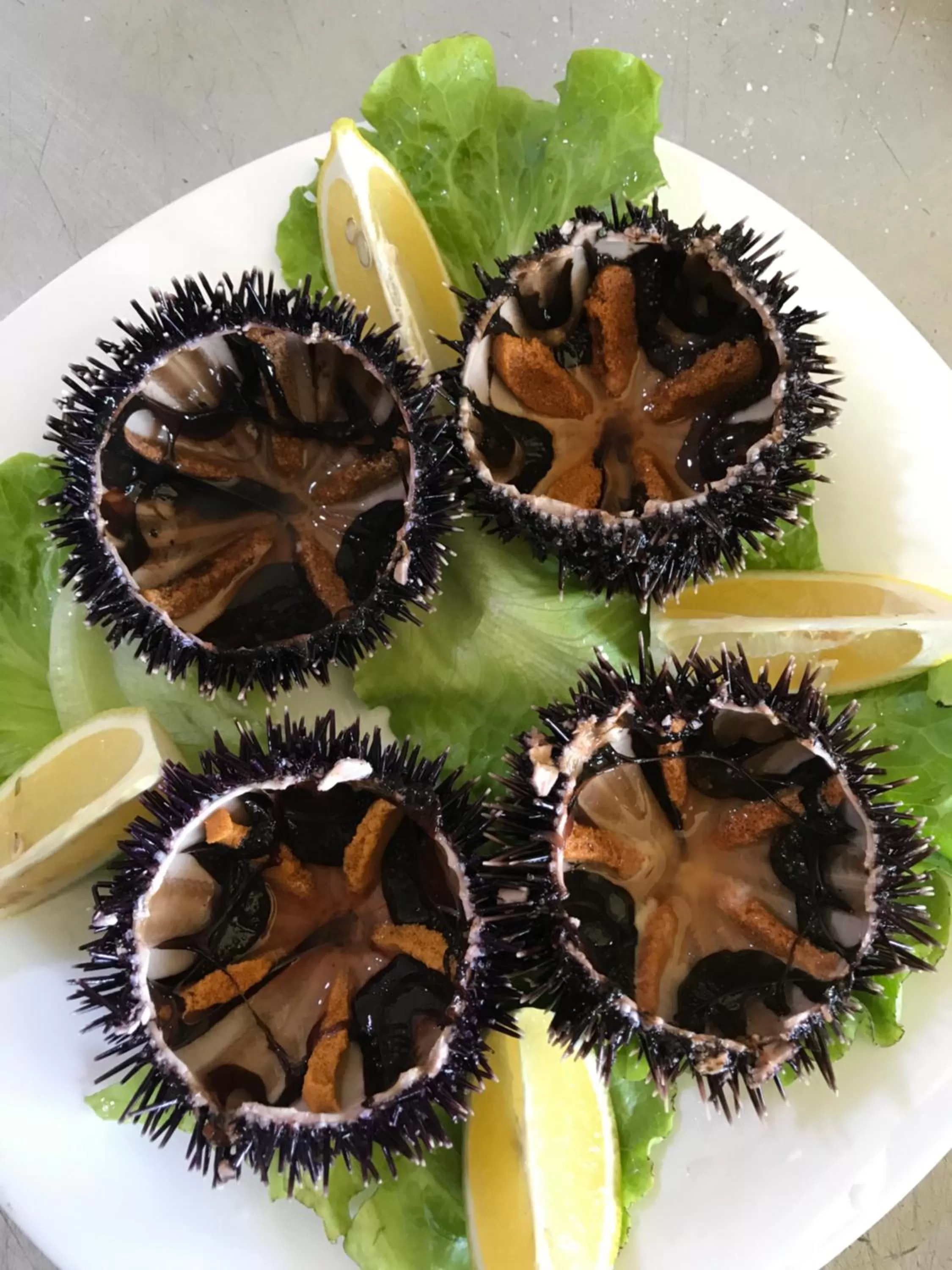 Food and drinks, Food in Hotel Alba-Gert