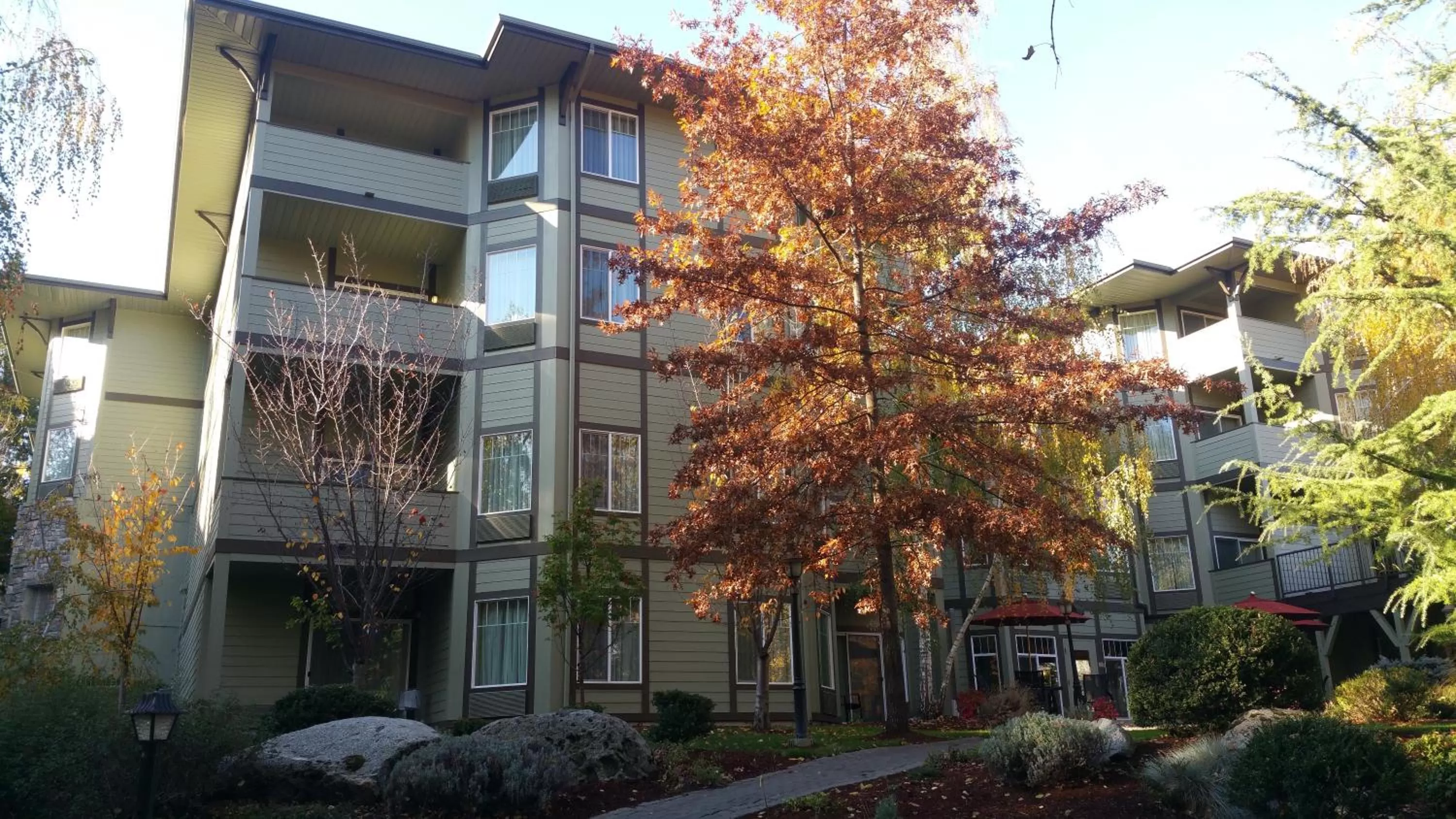 View (from property/room) in Plaza Inn & Suites at Ashland Creek