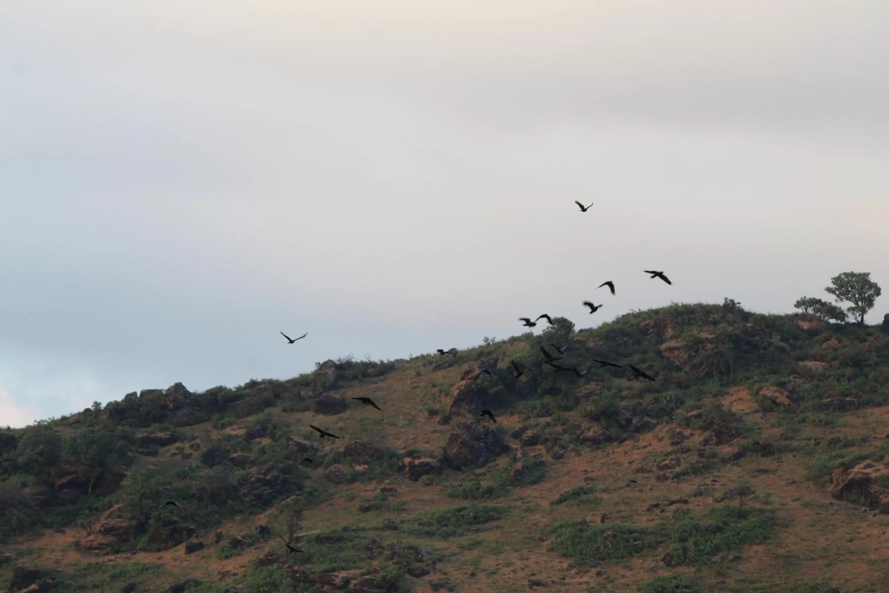 Garden view, Other Activities in Greenwood Resort