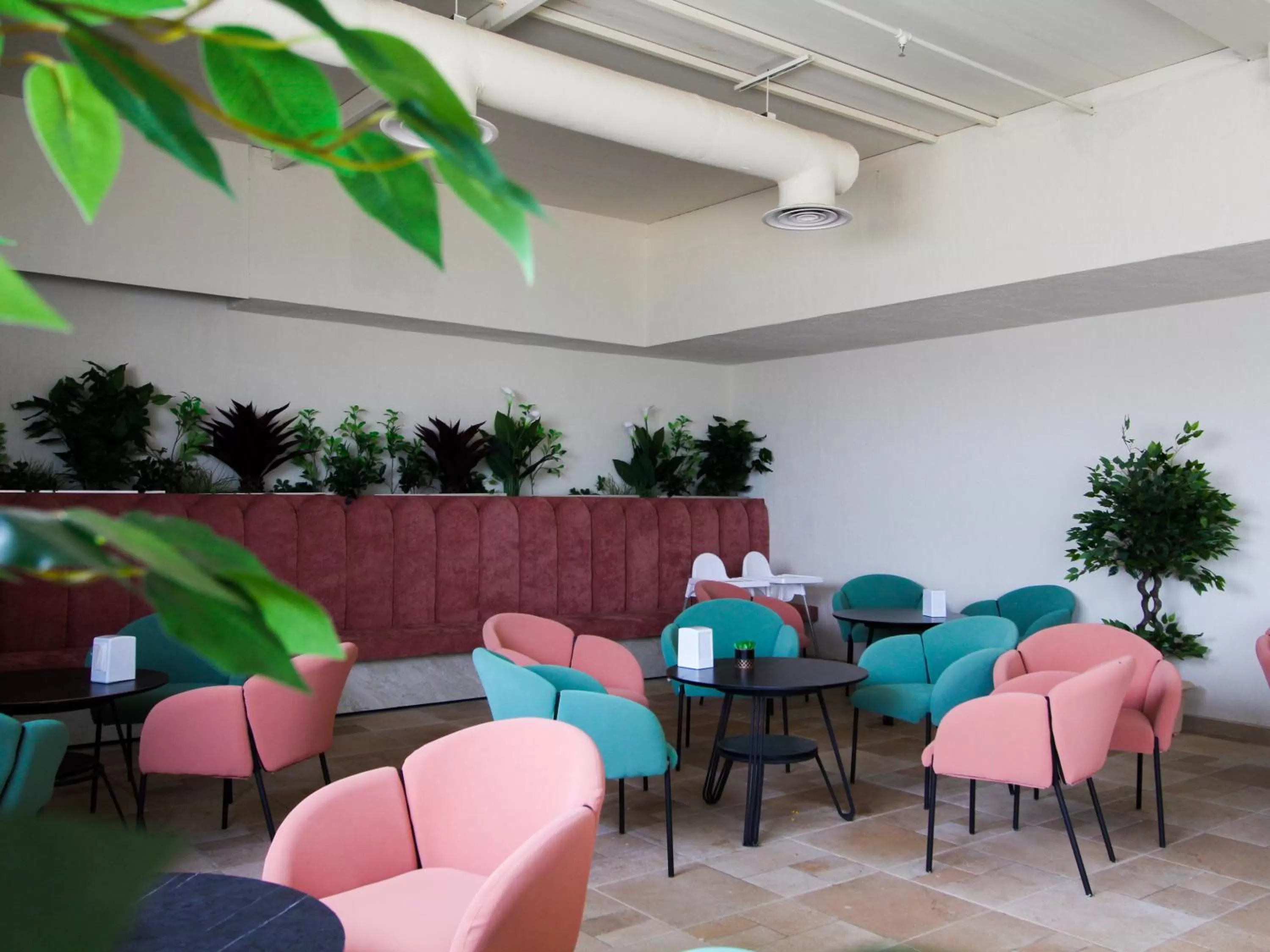 Restaurant/Places to Eat in Friesian Hotel Suites