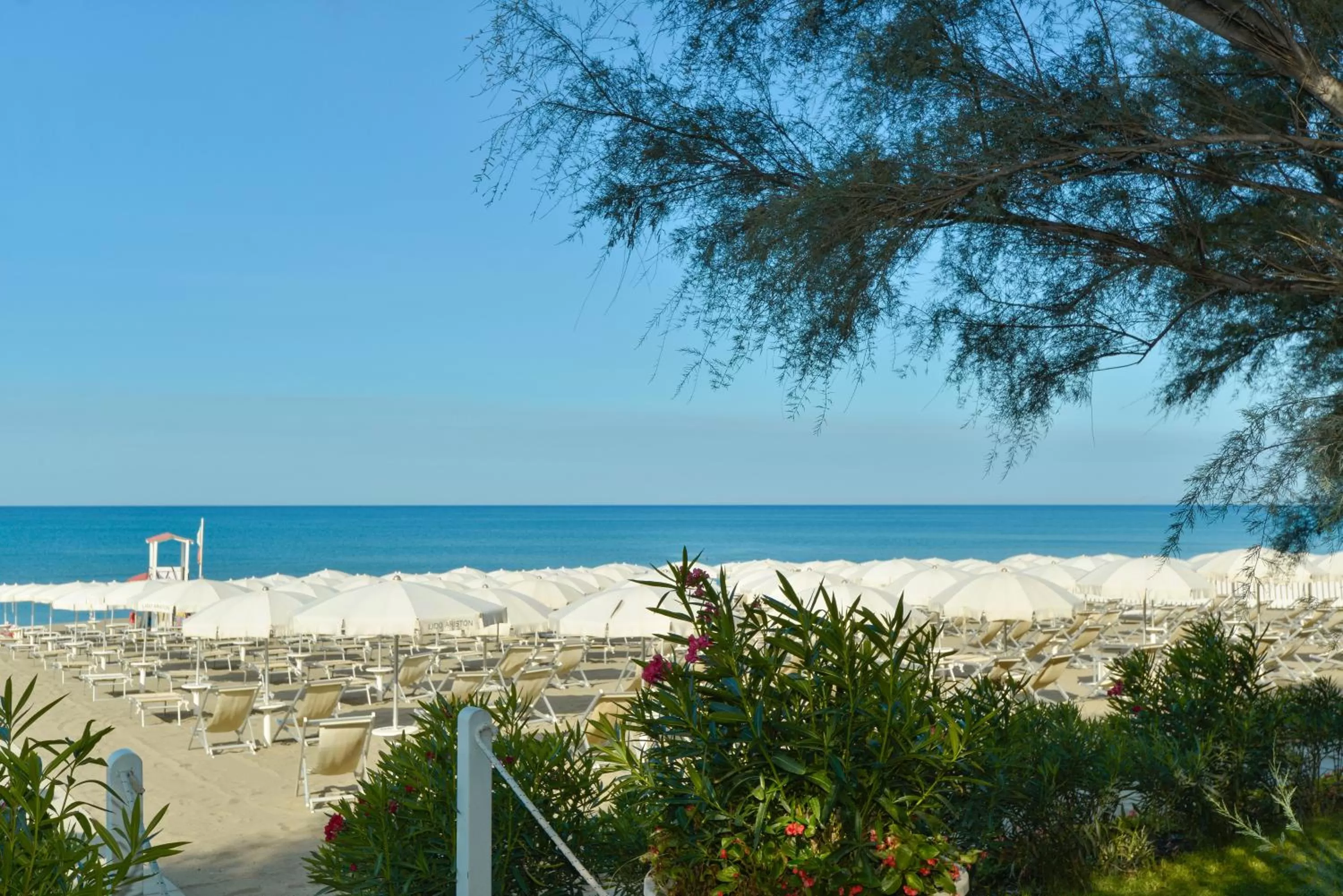 Summer in Hotel Ariston