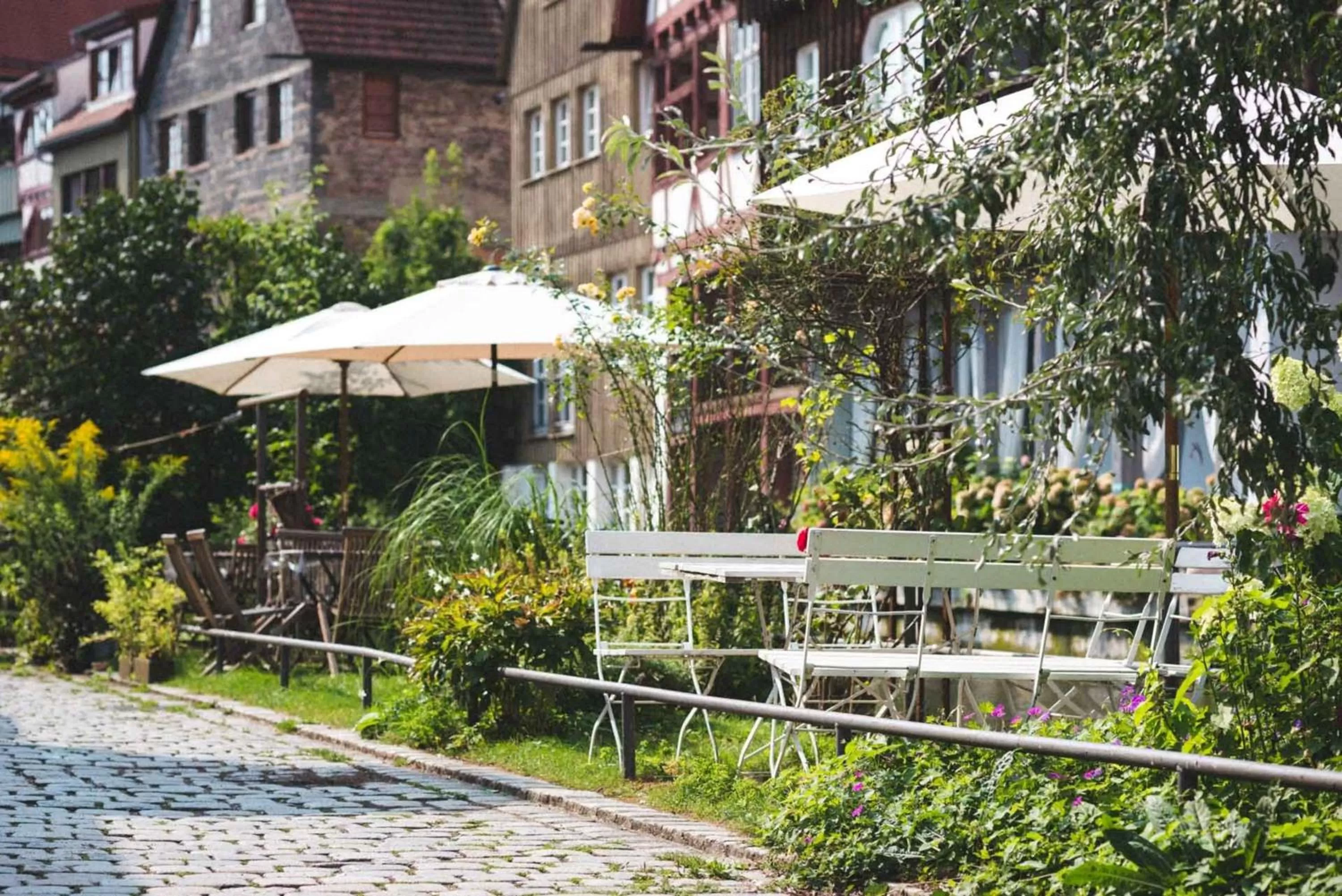 Garden view in Ulmer Münster Hotel