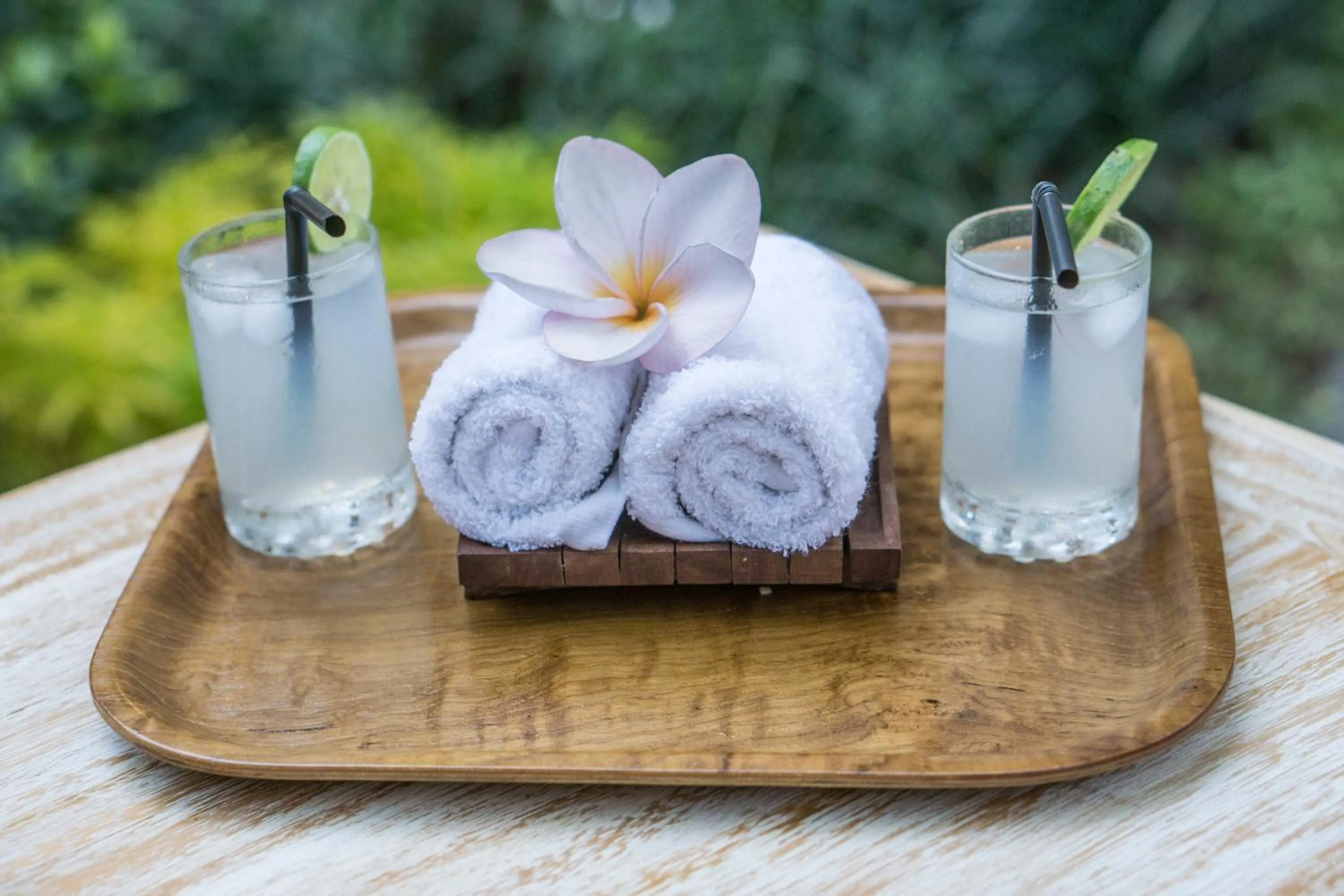 Area and facilities in Ubud Tropical Garden 2