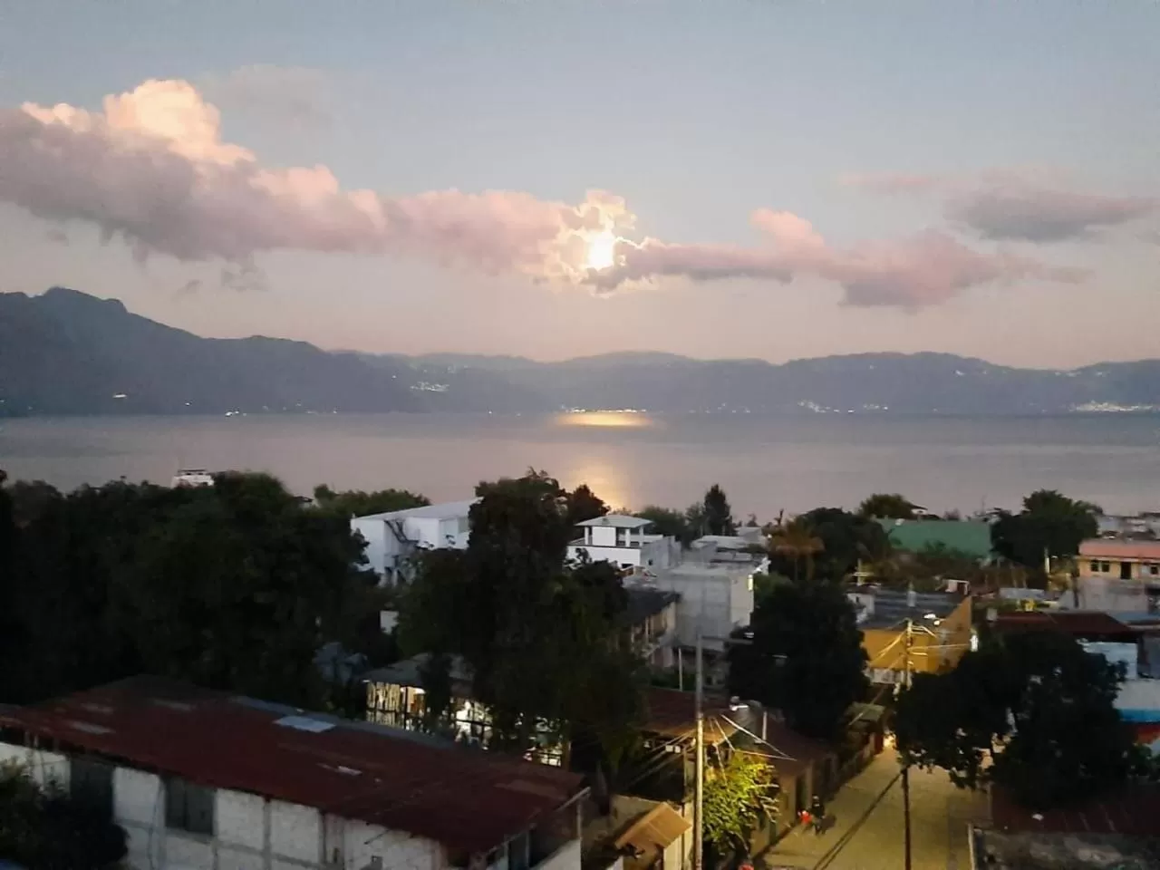 Millennium Apartment