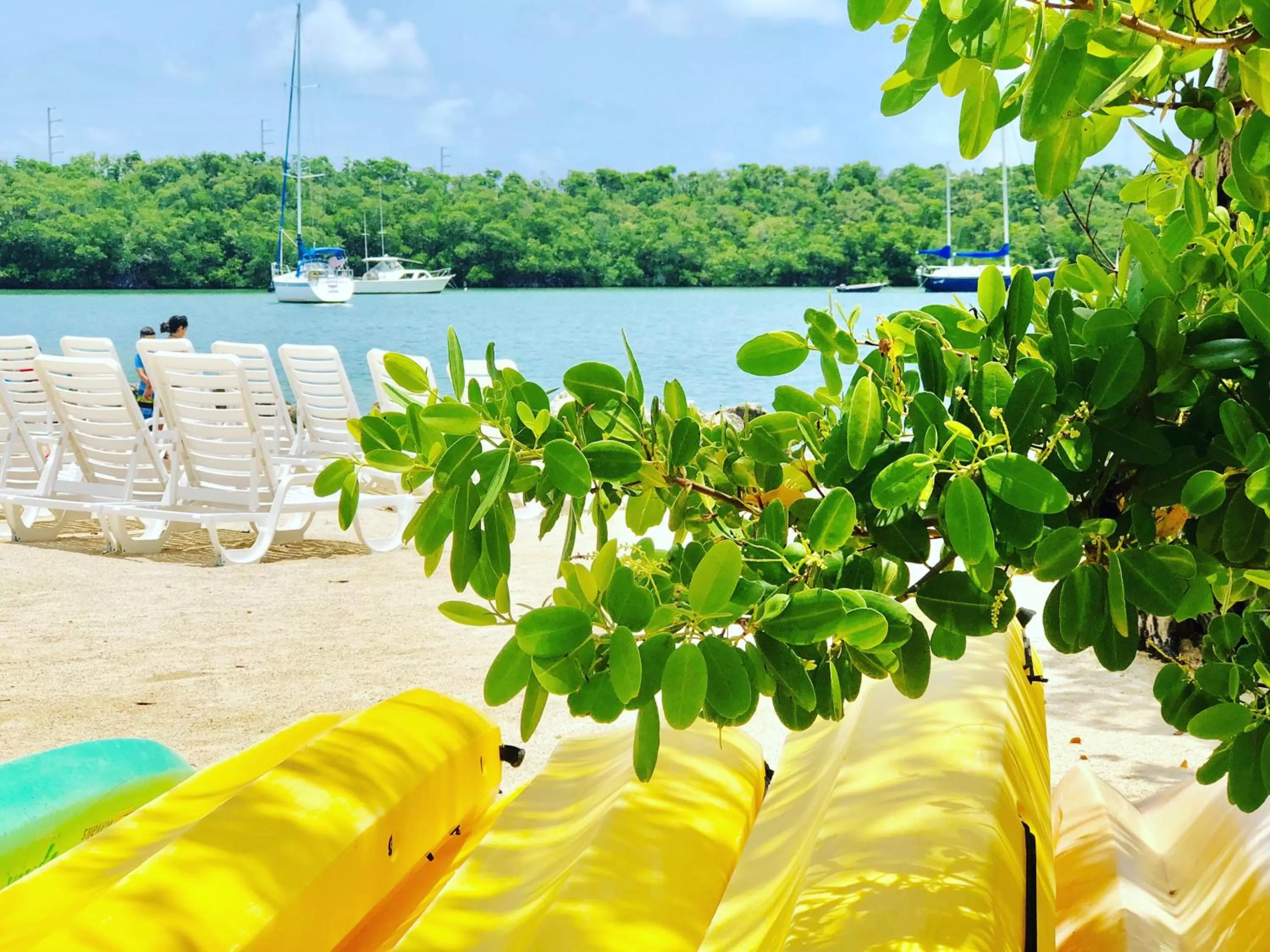 Beach in Gilbert's Resort & Marina
