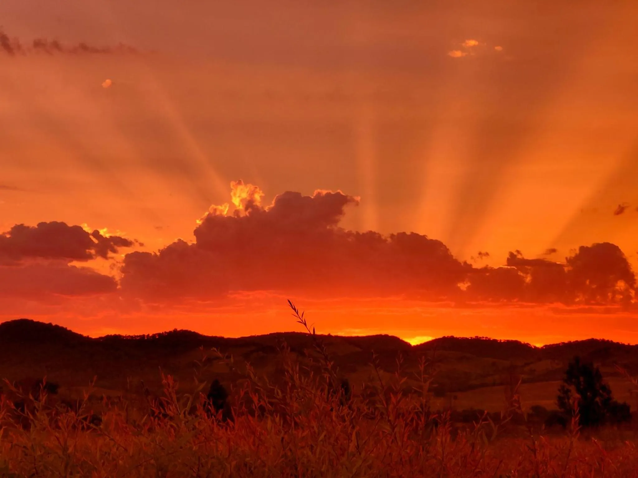 View (from property/room) in Owl Head Lodge