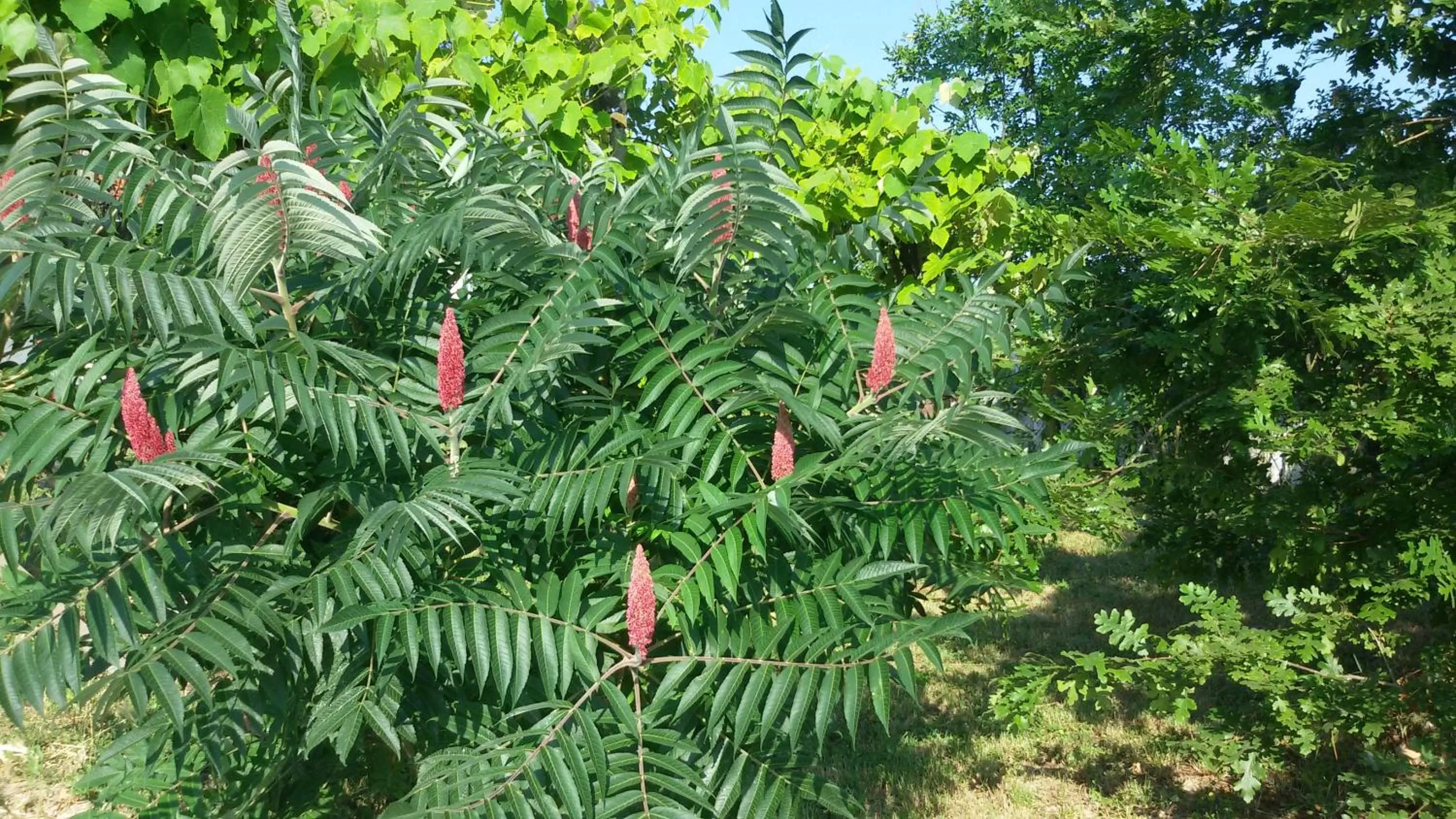 On site in Cascina Torello