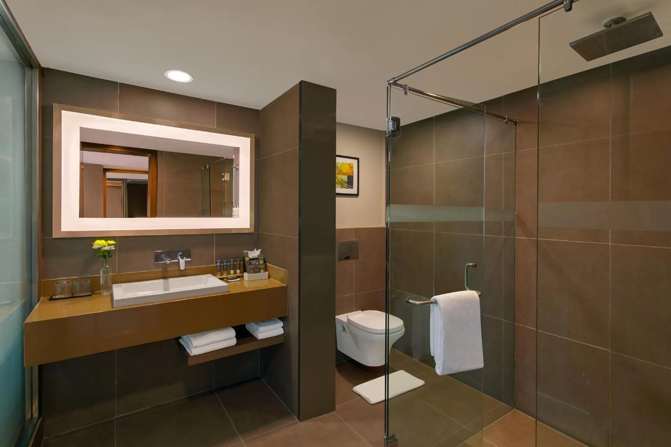 Bathroom in Novotel Ahmedabad