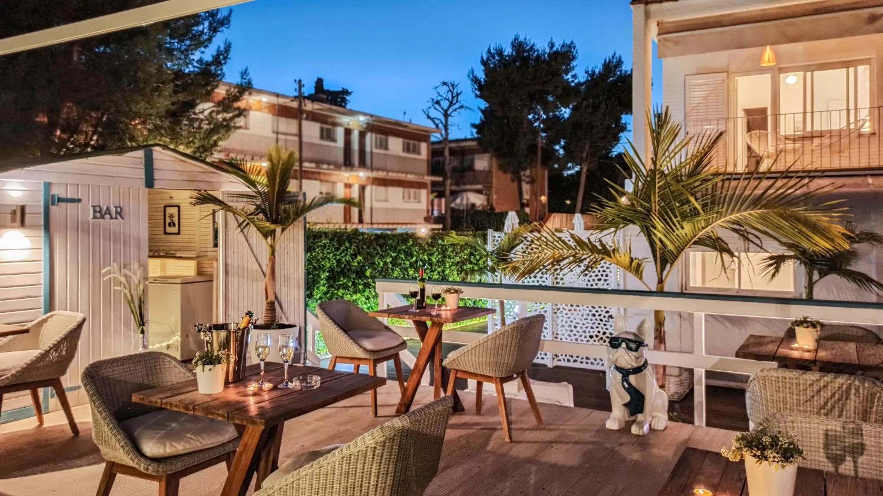 Garden in Antonio's House